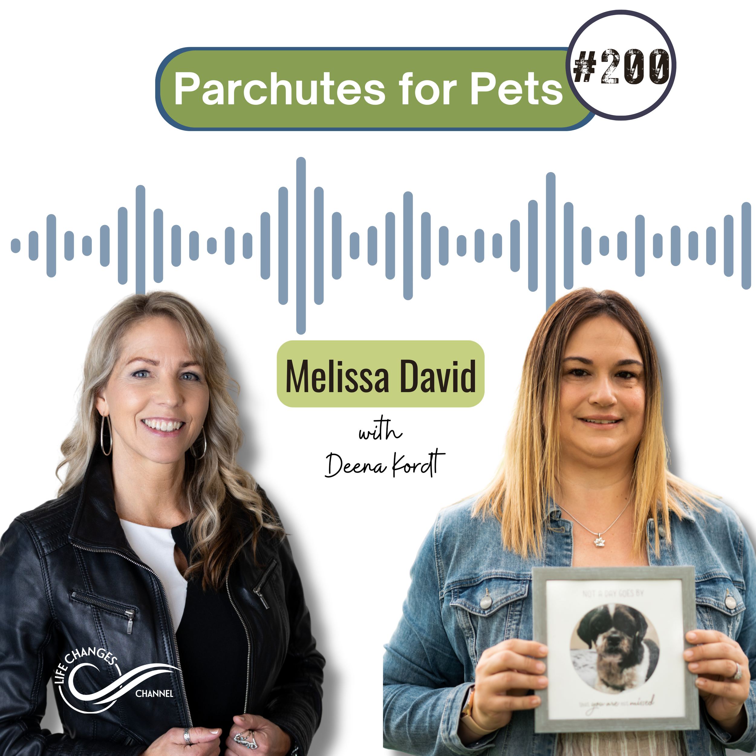 #200 Parachutes for Pets