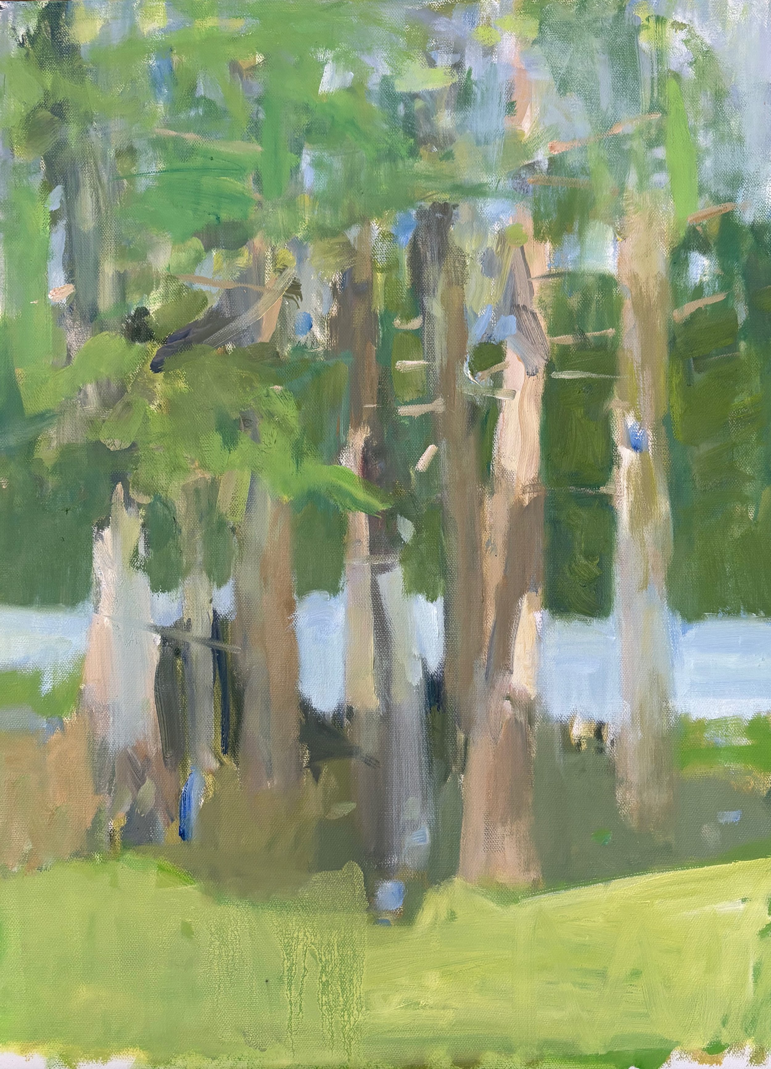 "The Grove" (2025, oil on canvas, 18 in x 24 in) *available at The Willard Gallery, South Portland, ME