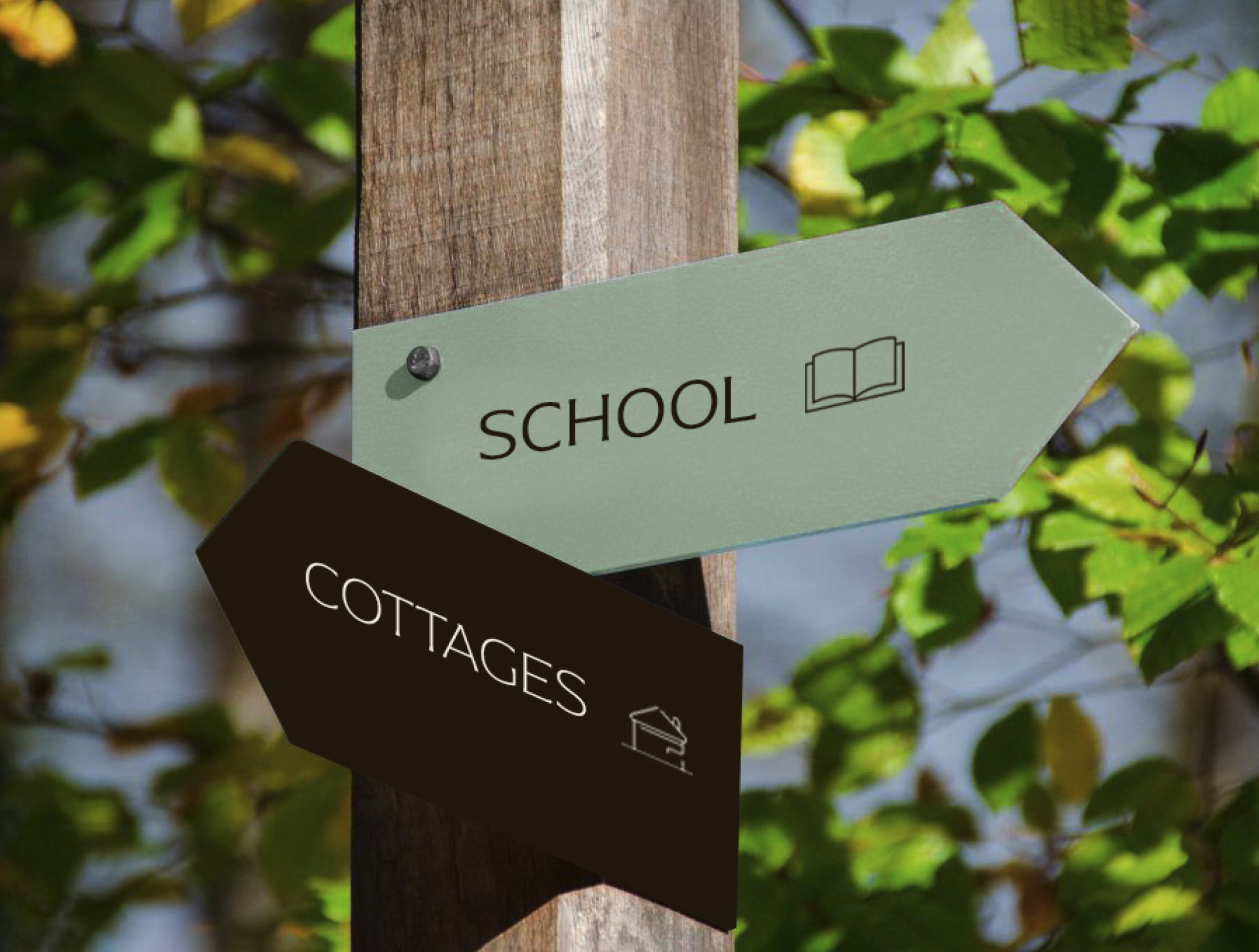 Braden Case Study 20.png