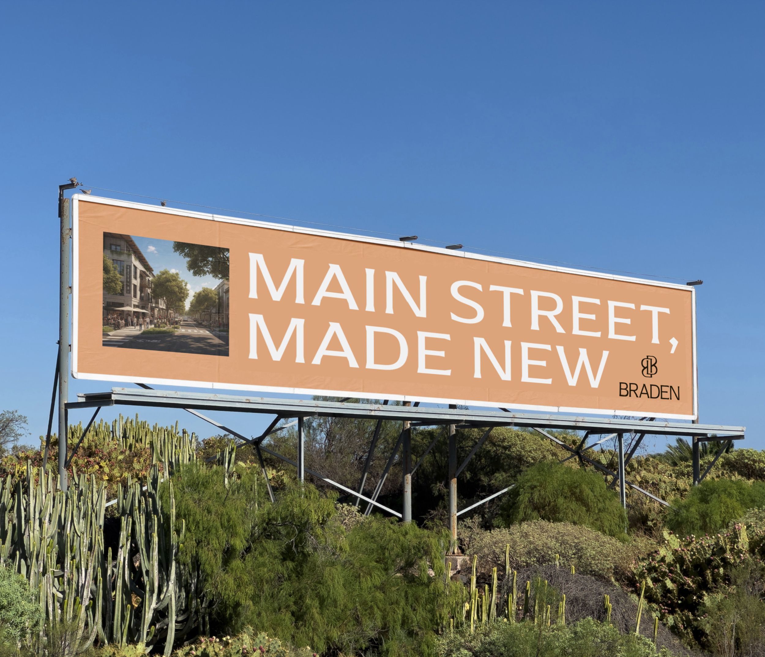 Braden Case Study 17.png