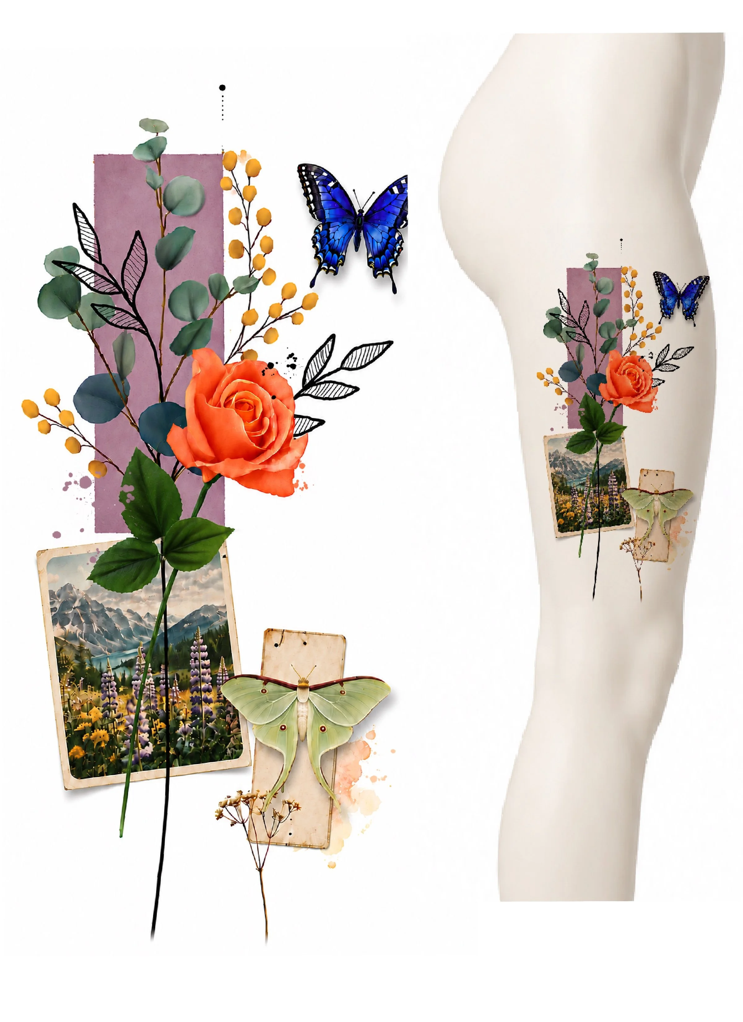 Lost in a meadow $1600