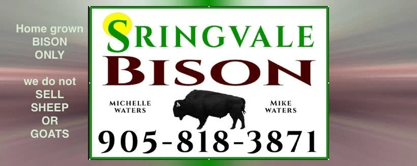 SPRINGVALE BISON