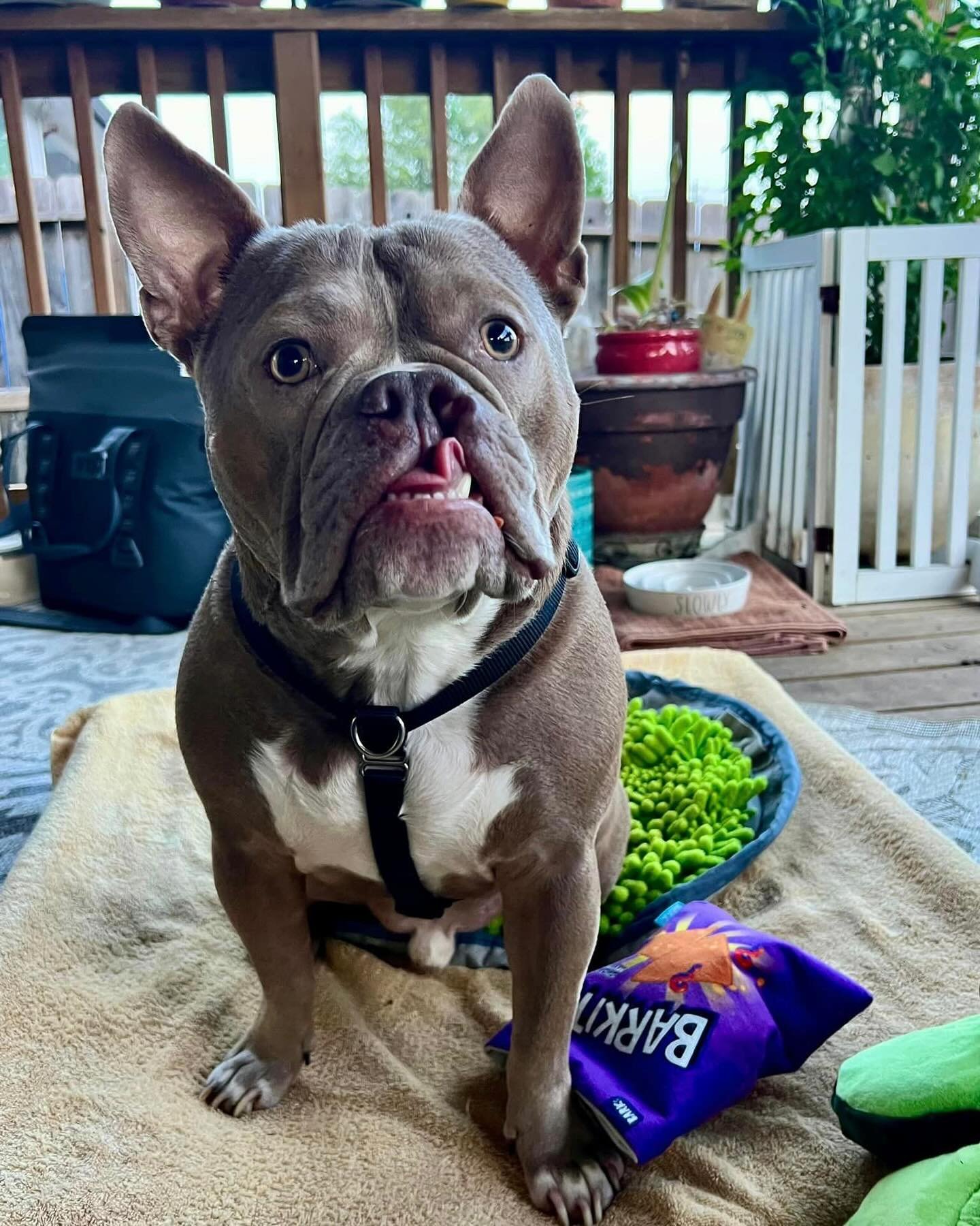 Happy 4th Birthday, Bugsy!!! 🥳🕺🏼❤️

Bugsy&rsquo;s family shared these celebration pics along with a really touching update and we wanted to share here too because this birthday celebration is a very big deal. 

In the update, mom notes that this t