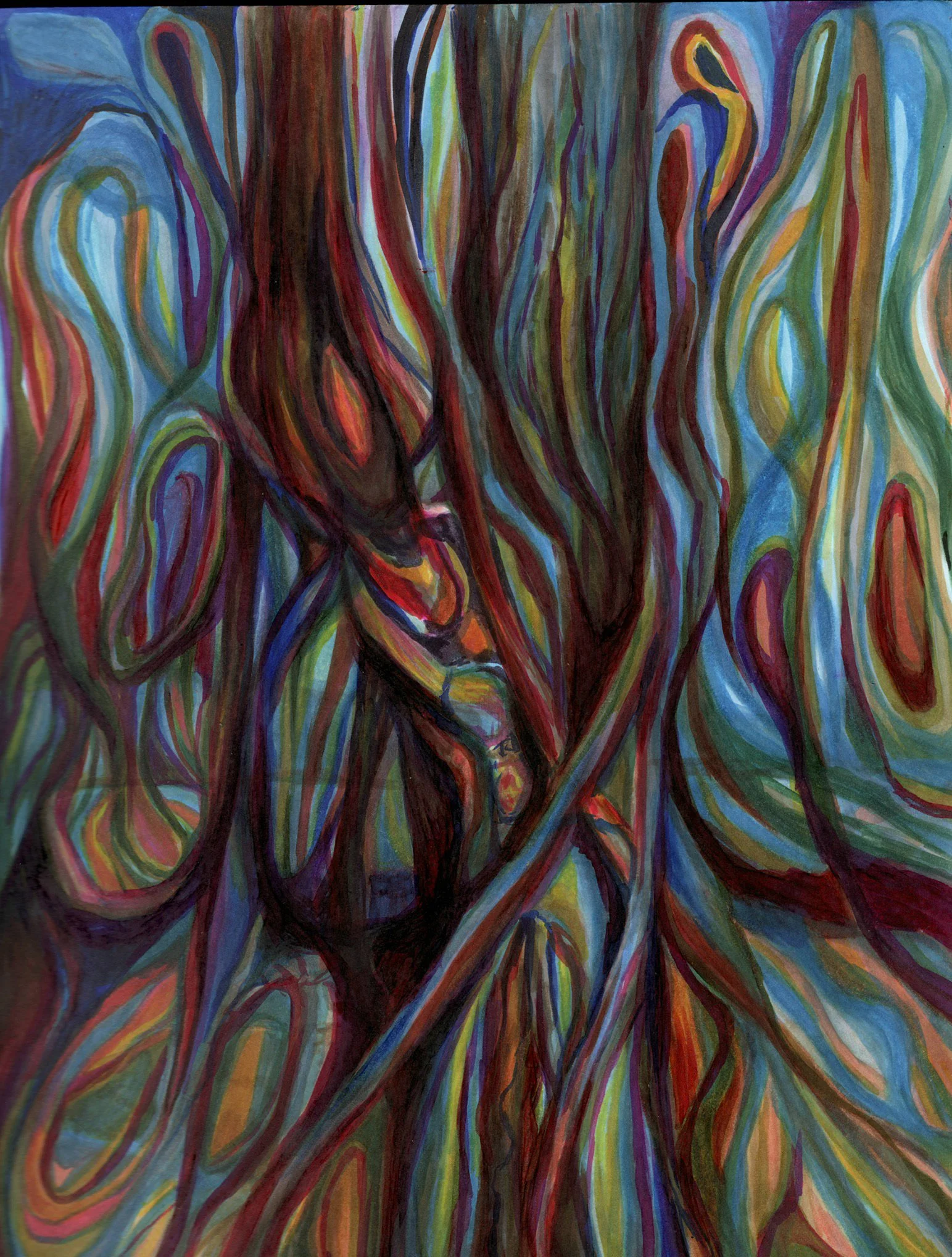An abstract drawing with colorful swirling lines. organic natural trees woods Richmond Virginia elegy 