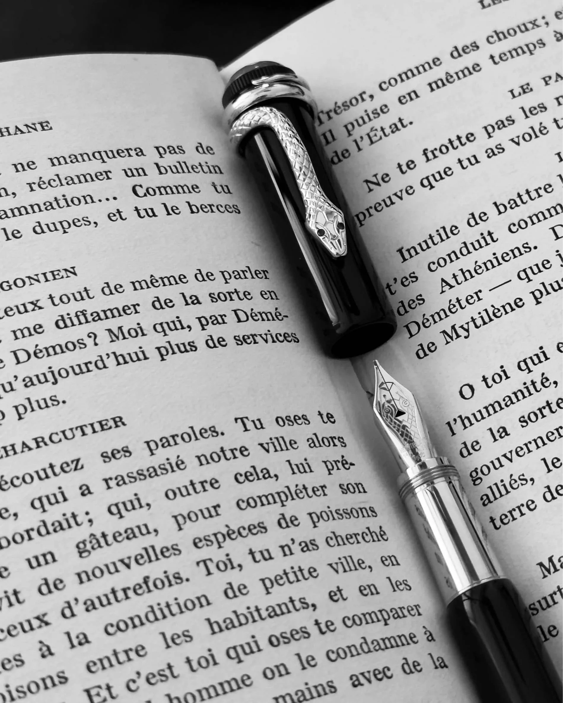 Close-up of French text and fountain pen symbolizing structured language study