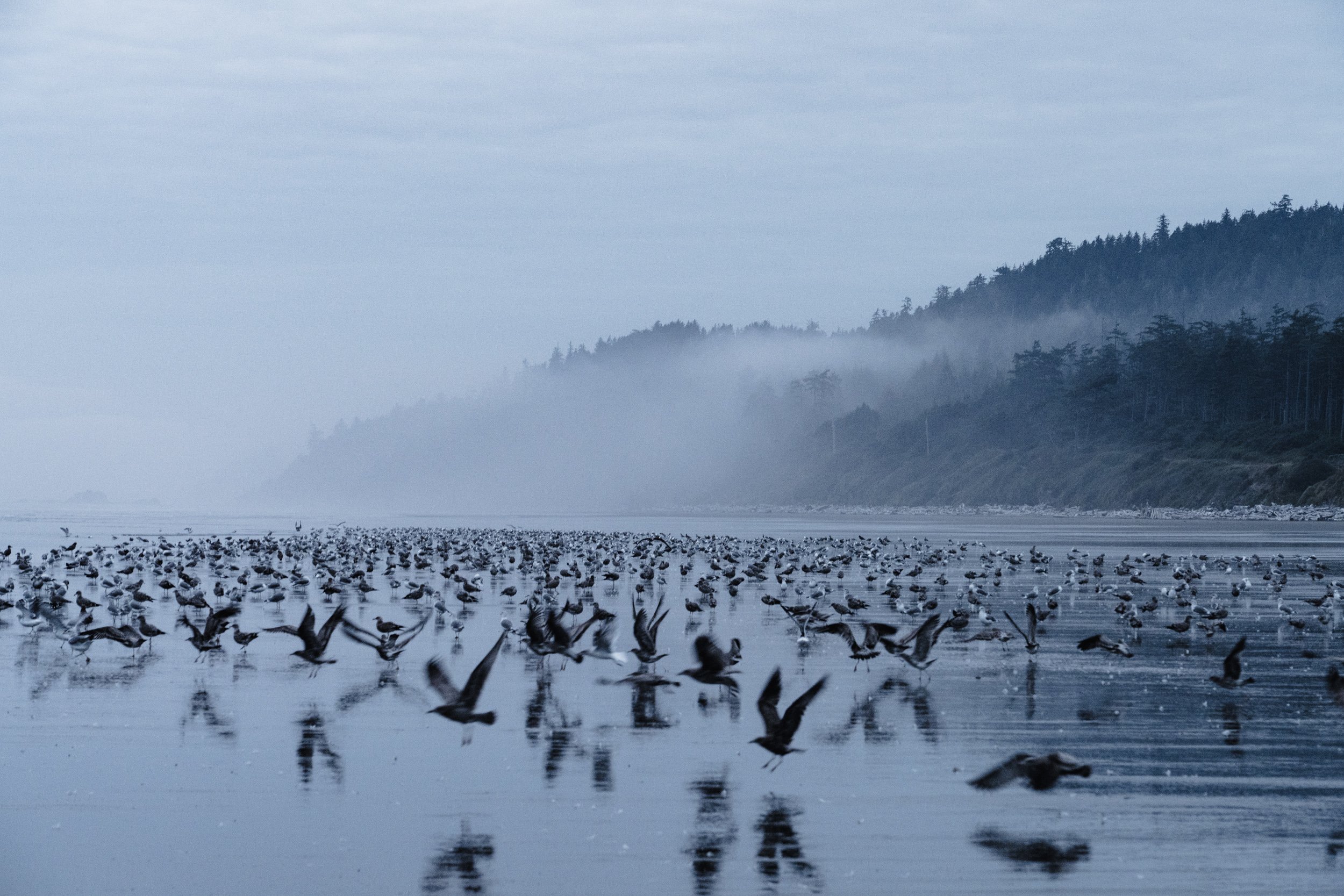 Olympic-18.jpg