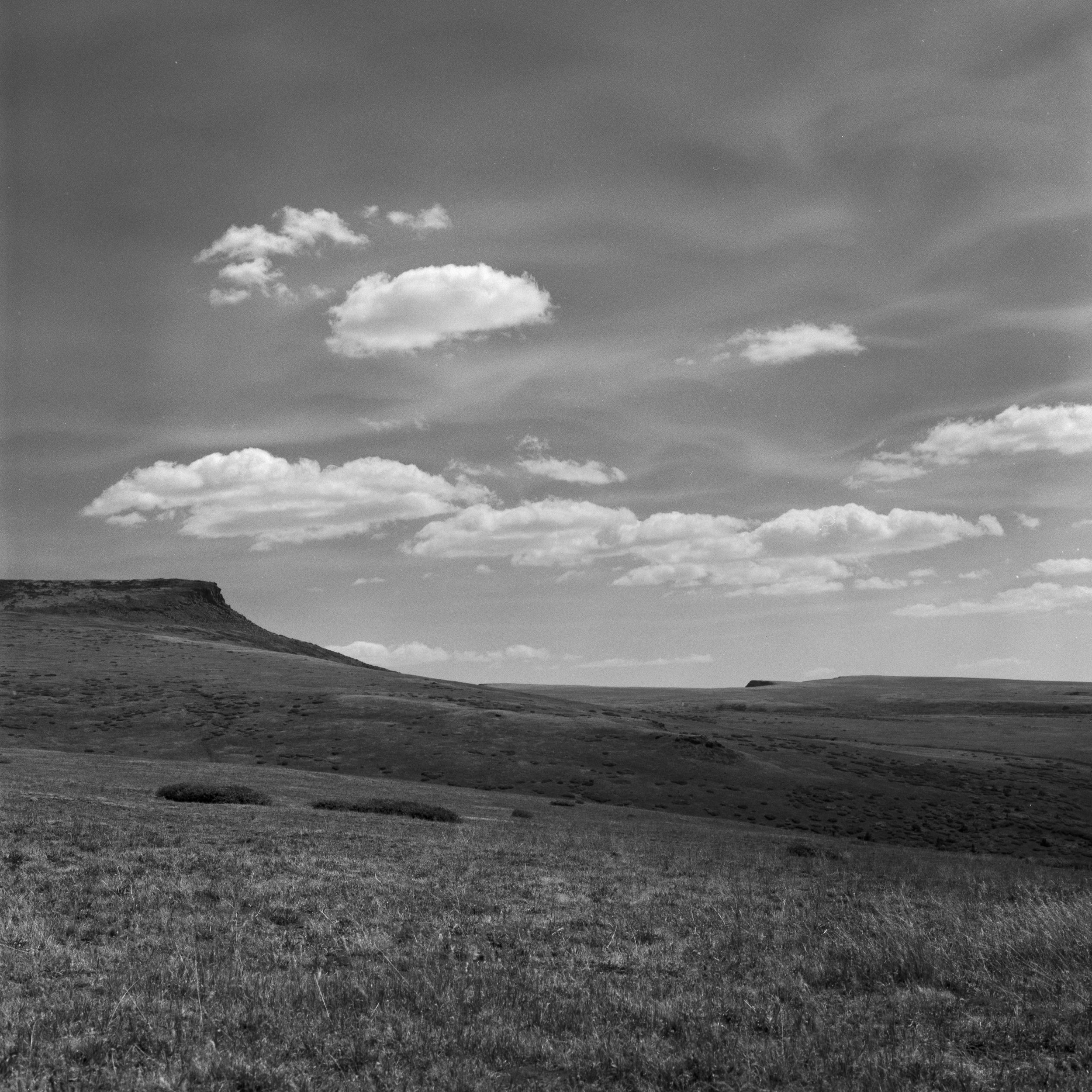 Colorado Wild-19.jpg