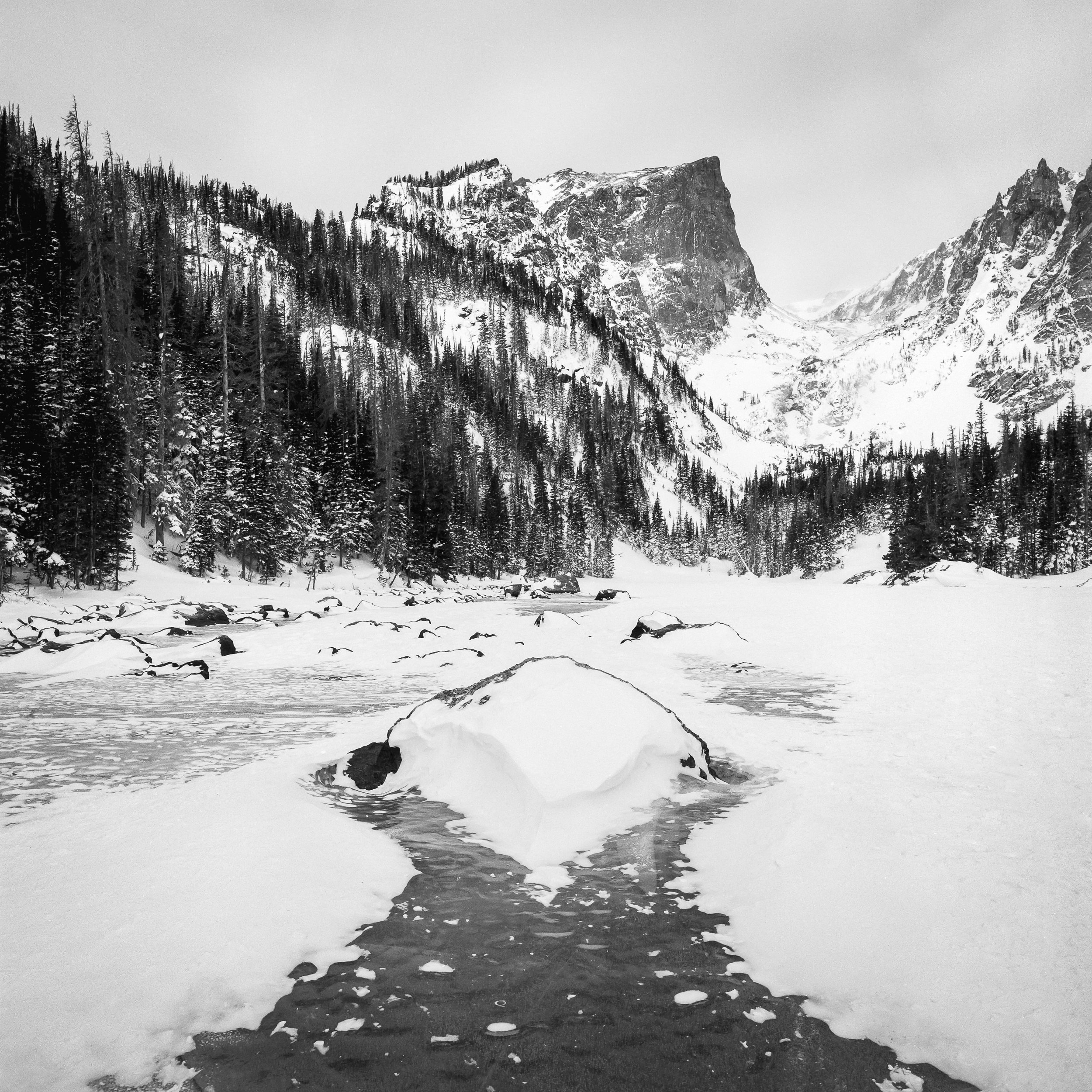 Colorado Wild-11.jpg