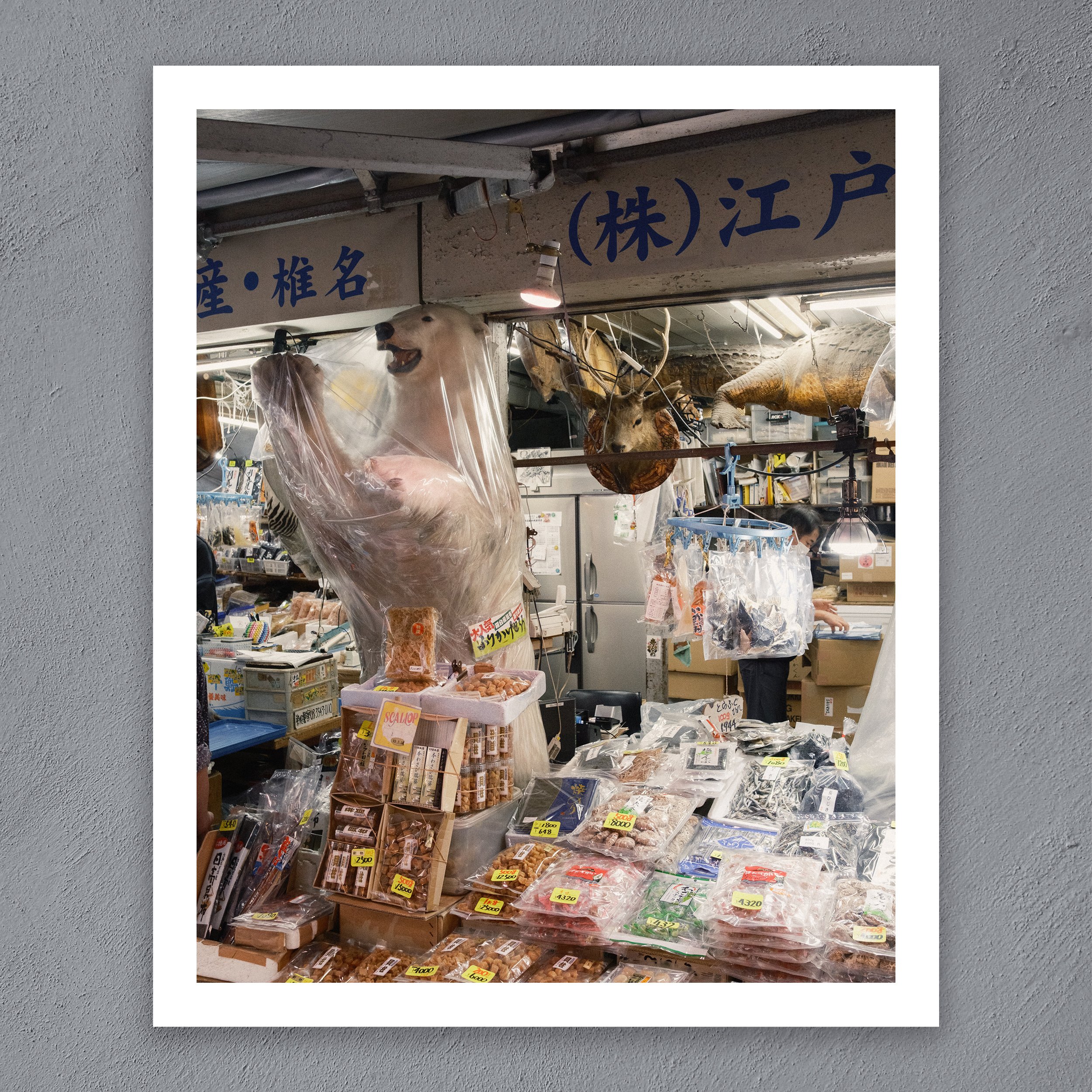 Tokyo-Polar-Bear.jpg
