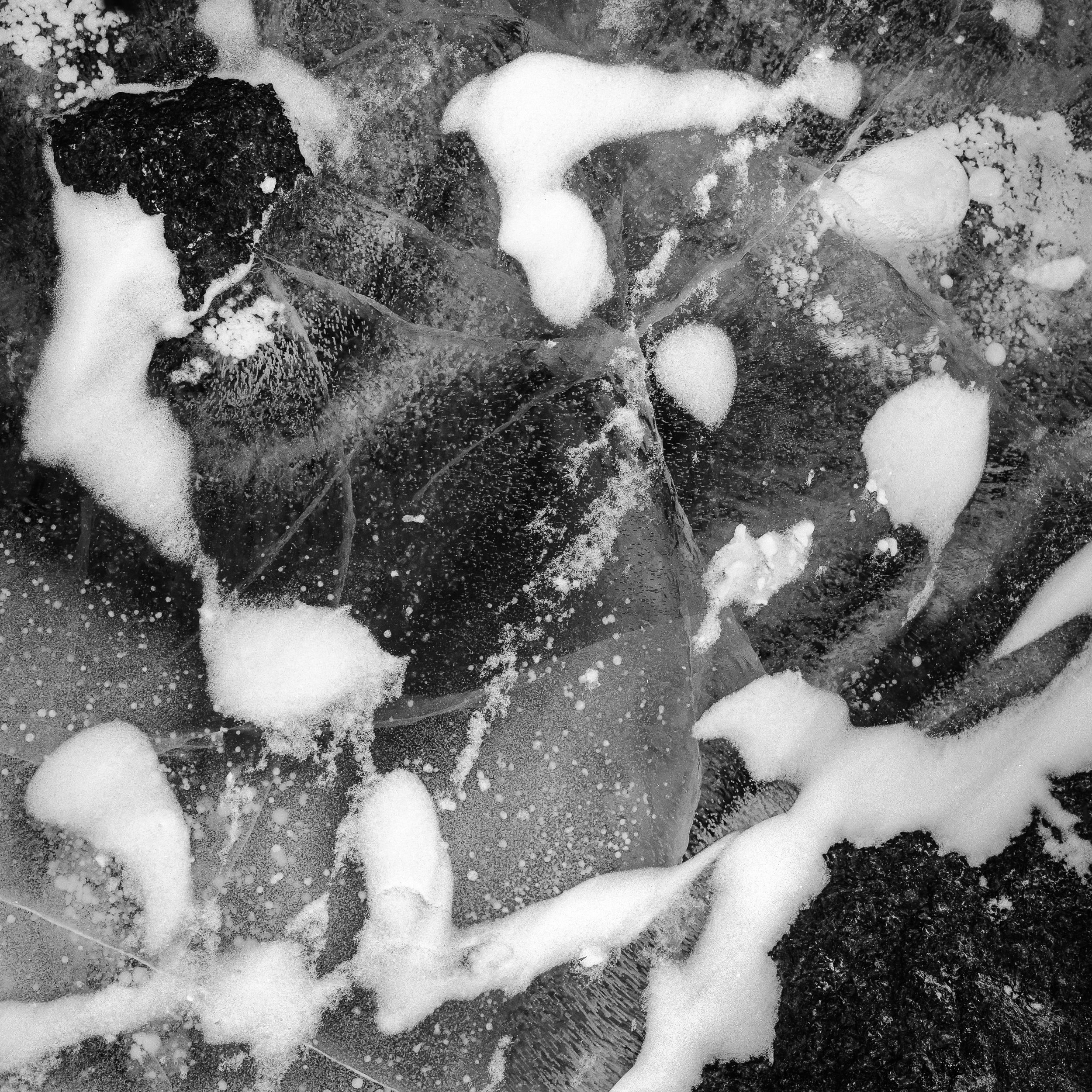 Colorado Wild-17.jpg