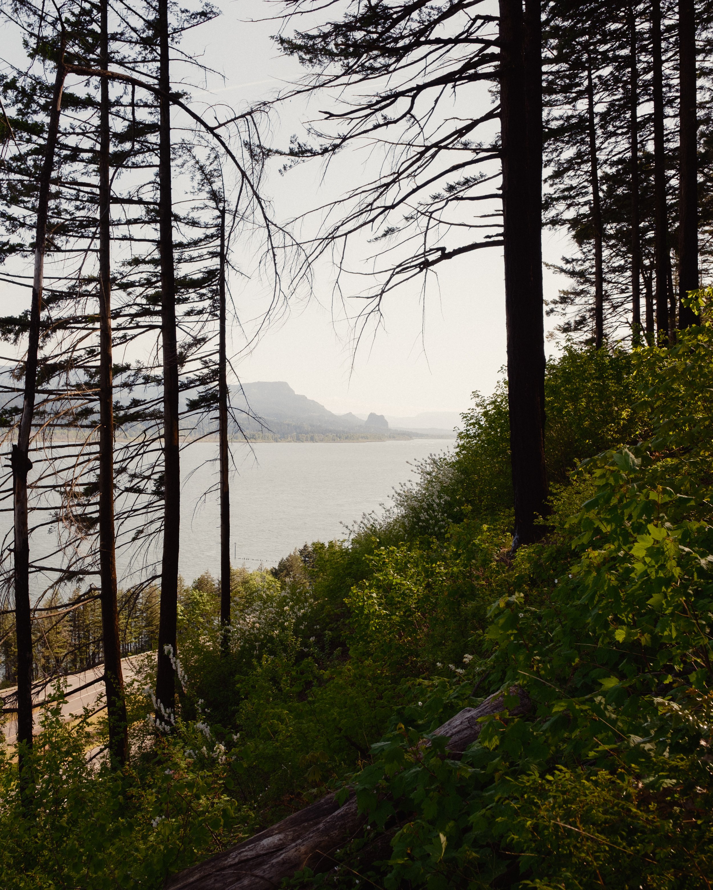_DSF0433.jpg