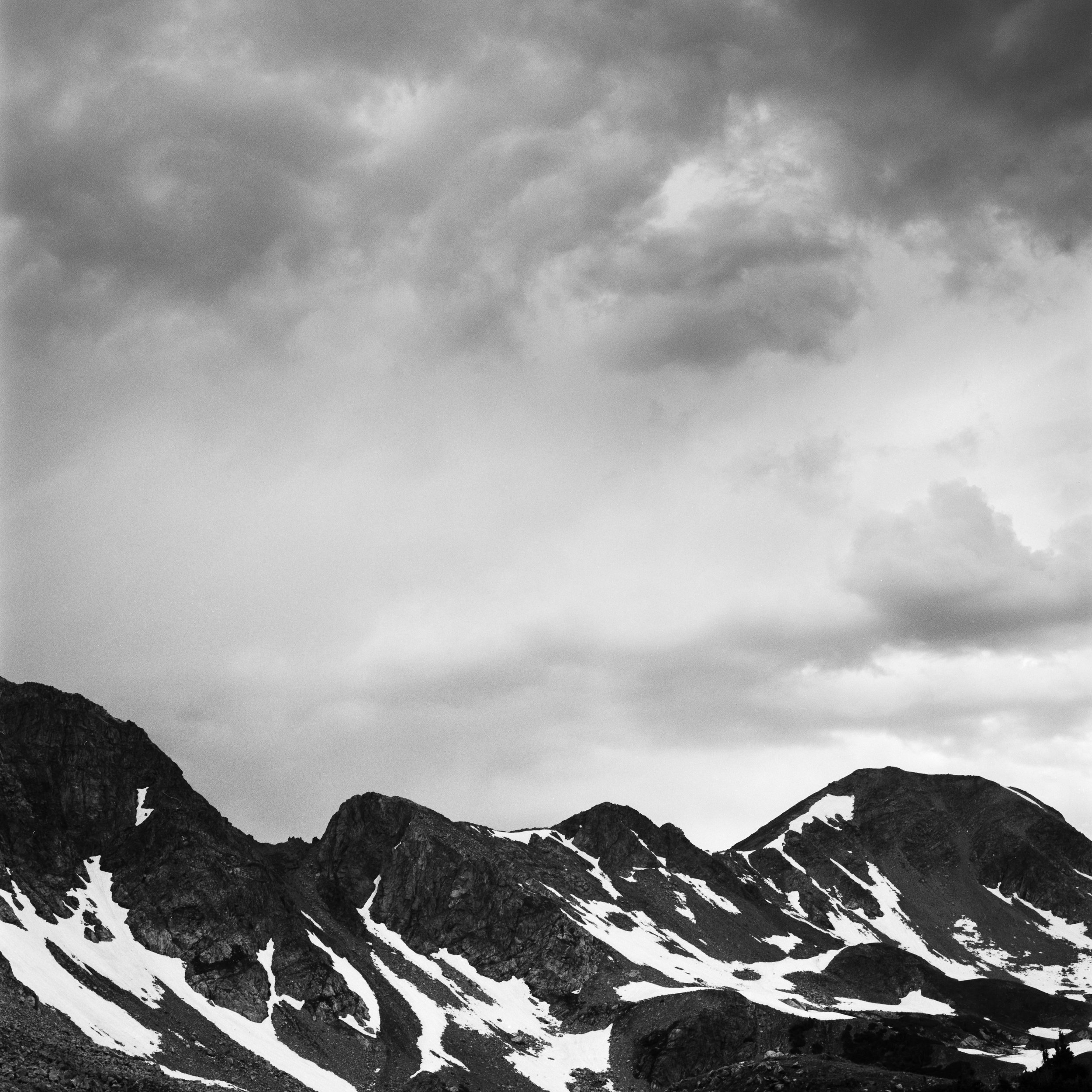 Colorado Wild-14.jpg