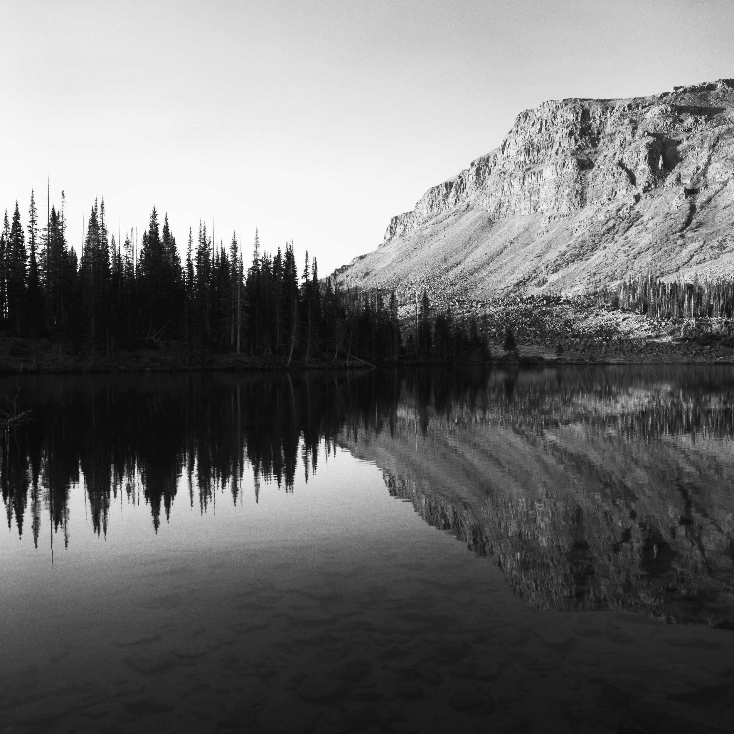 Colorado Wild-13.jpg