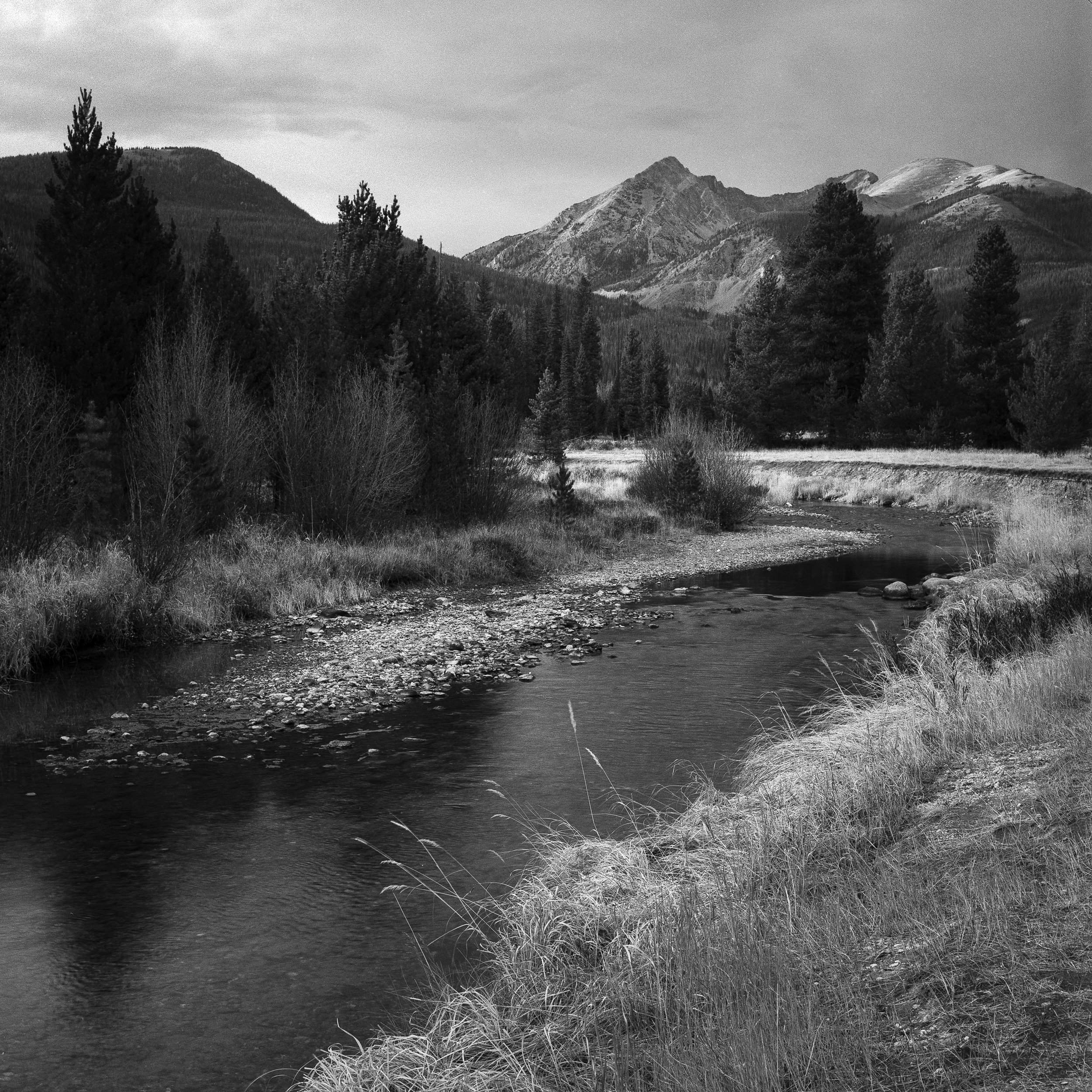 Colorado Wild-20.jpg