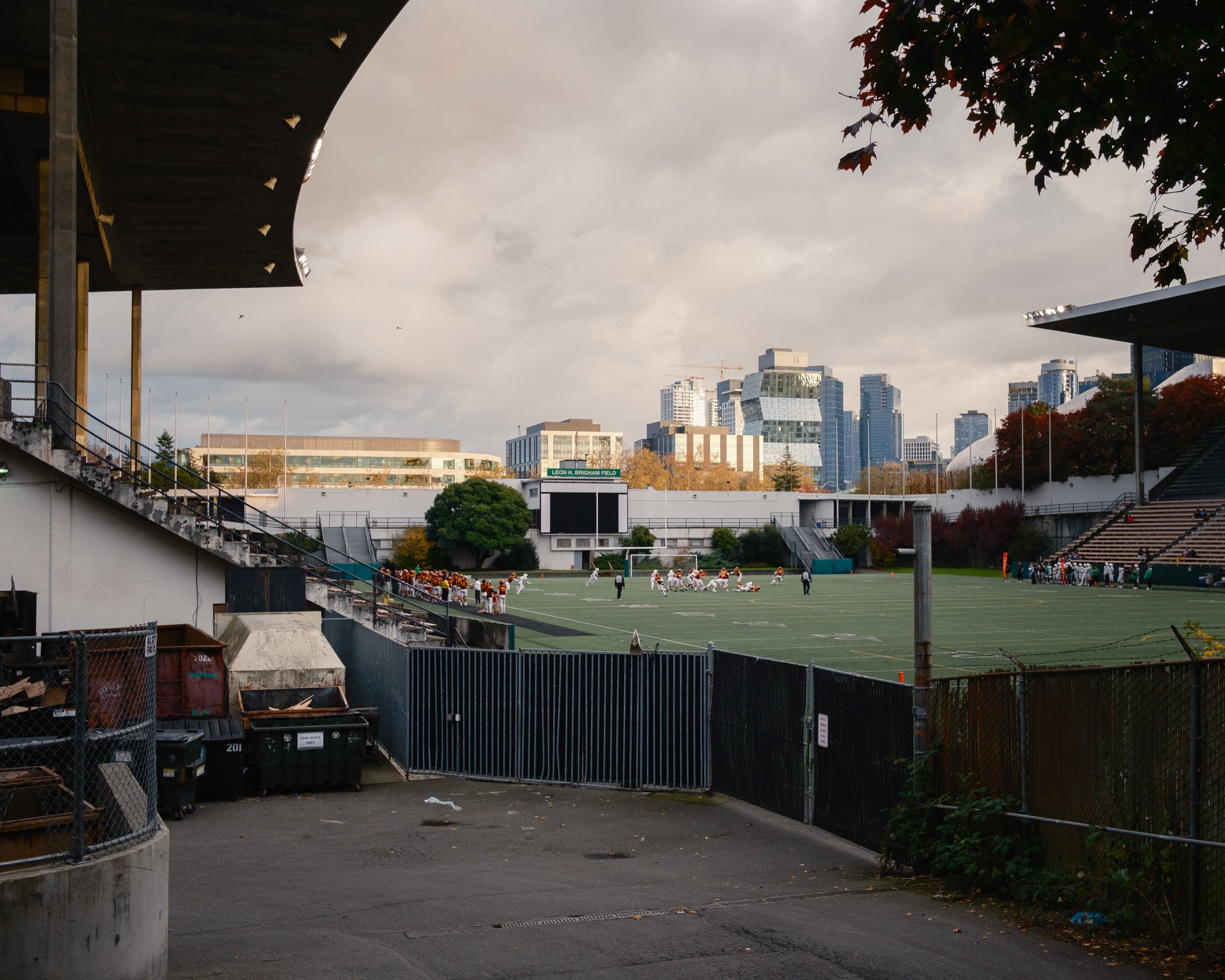 _DSF5984.jpg
