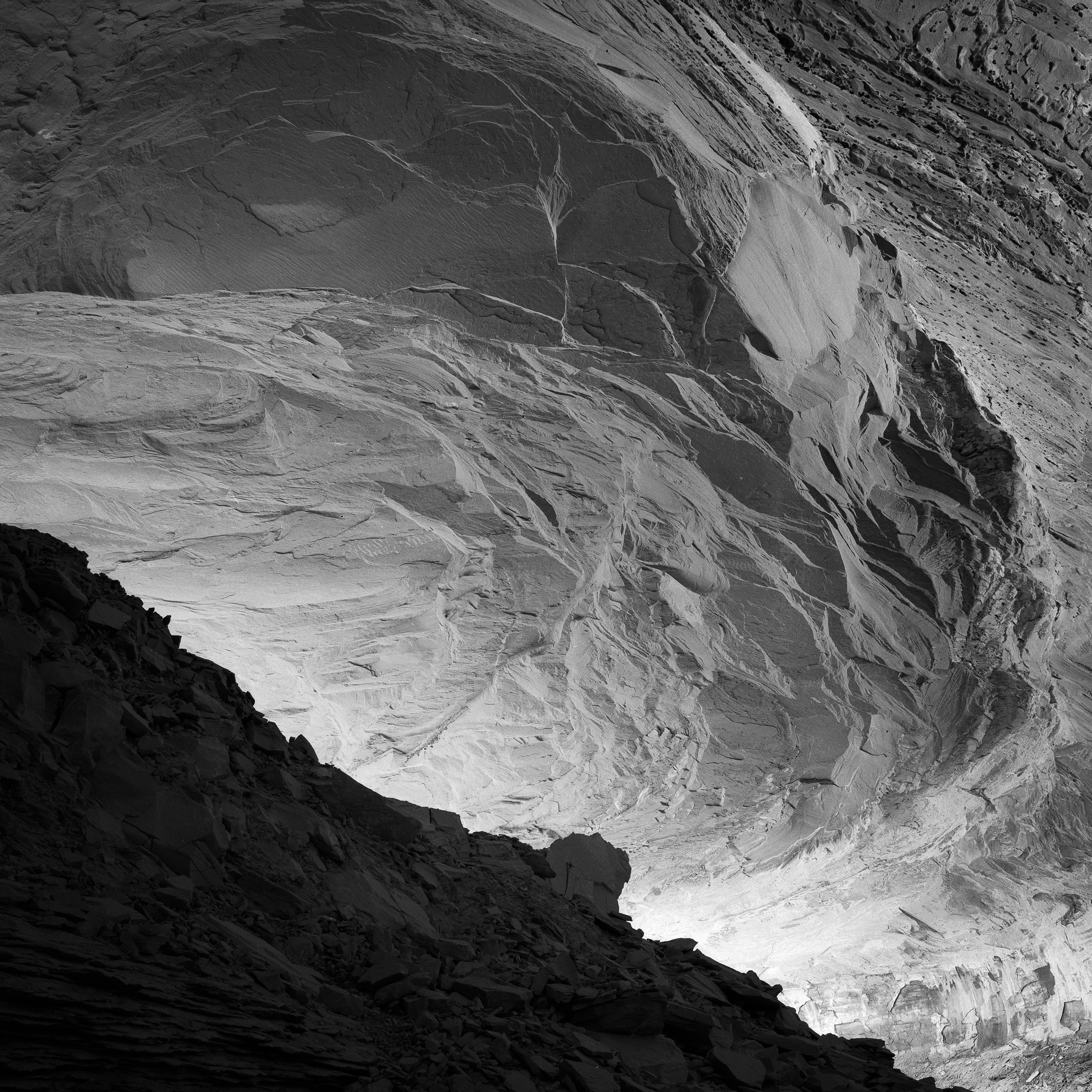 Colorado Wild-10.jpg