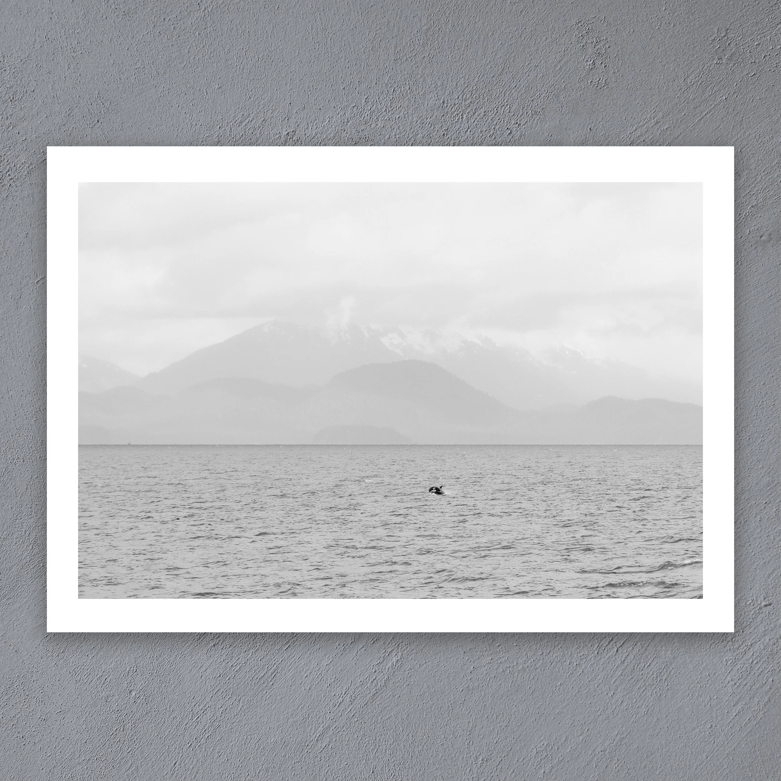 The-Orca.jpg