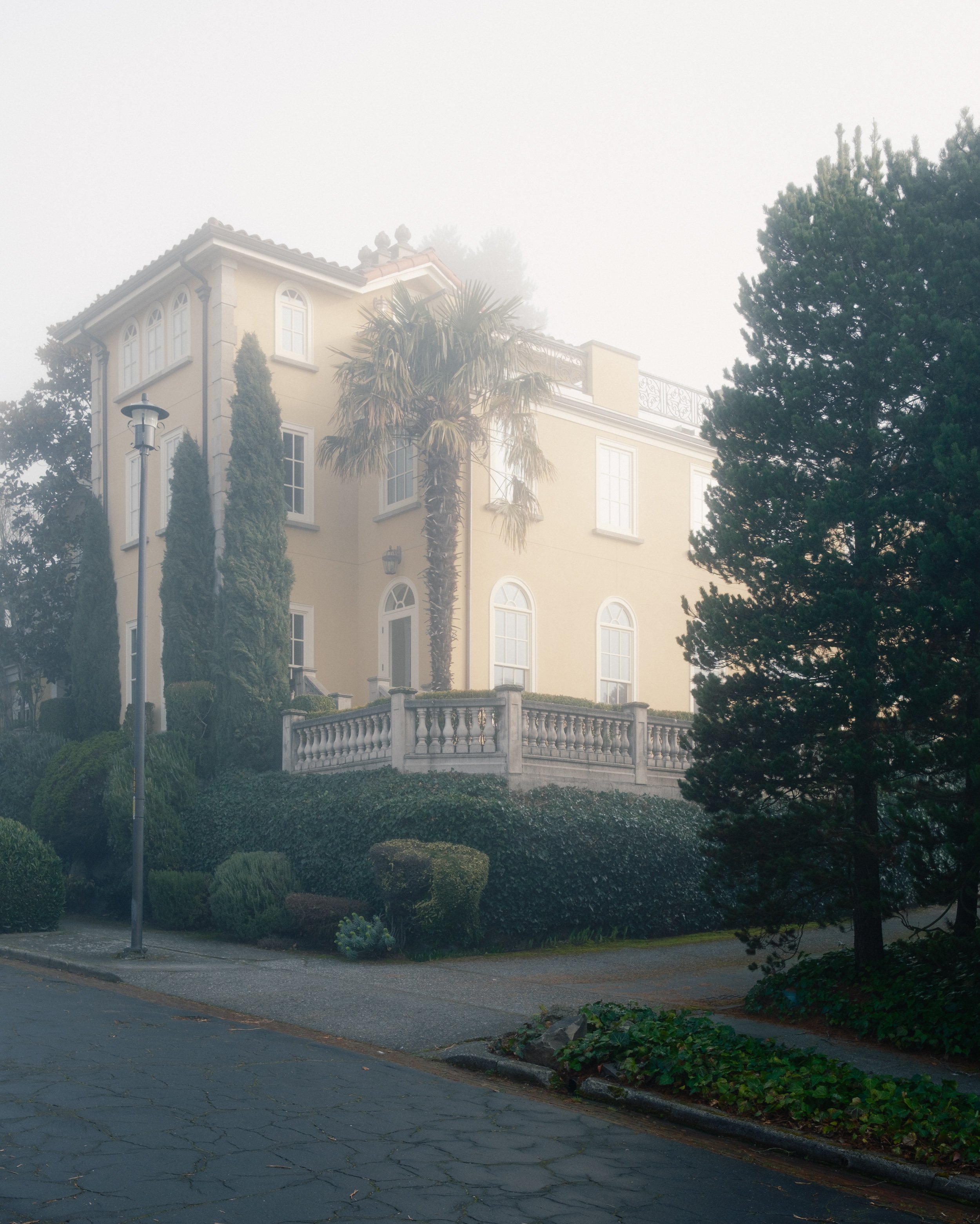 _DSF7850.jpg