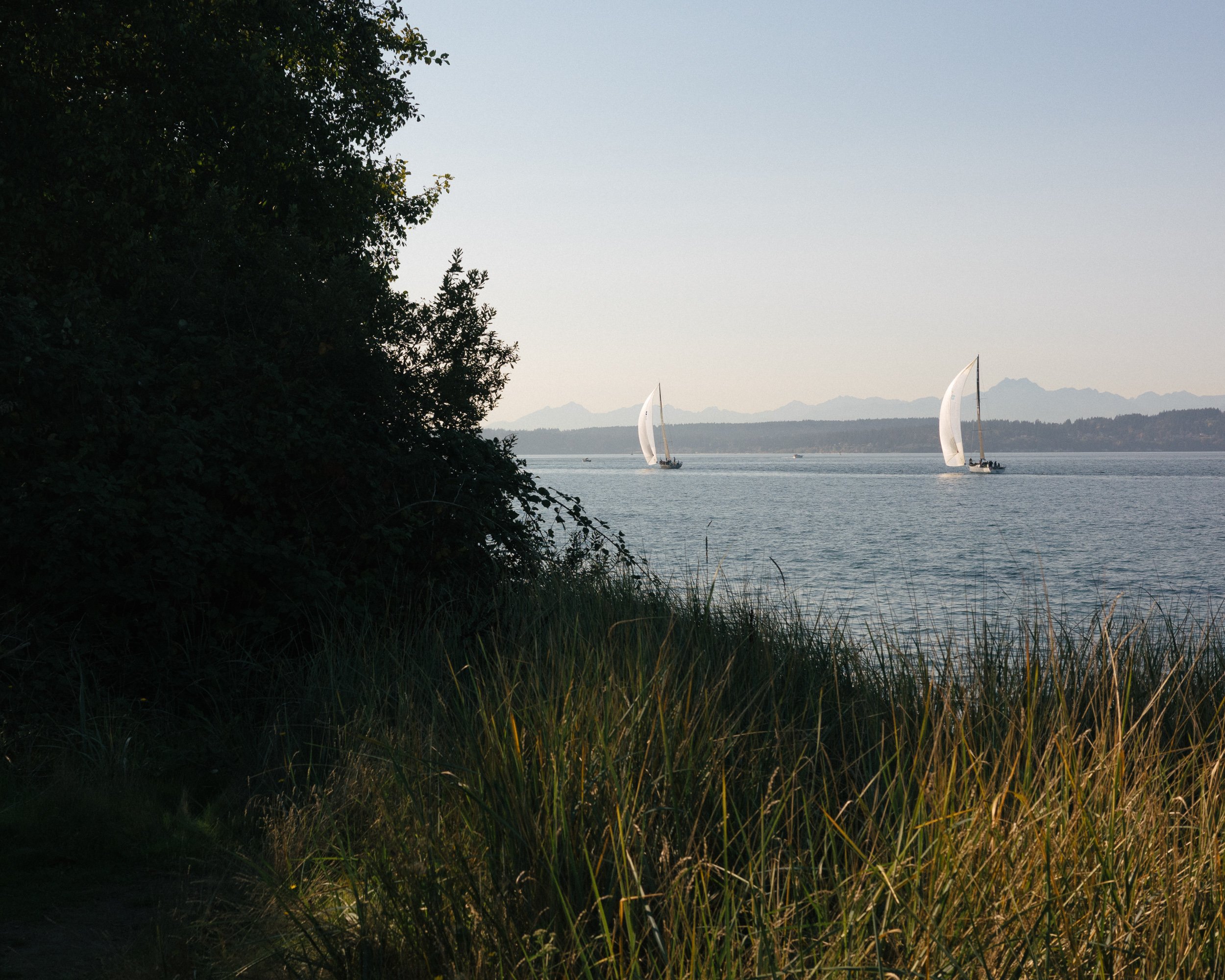 R0001463.jpg