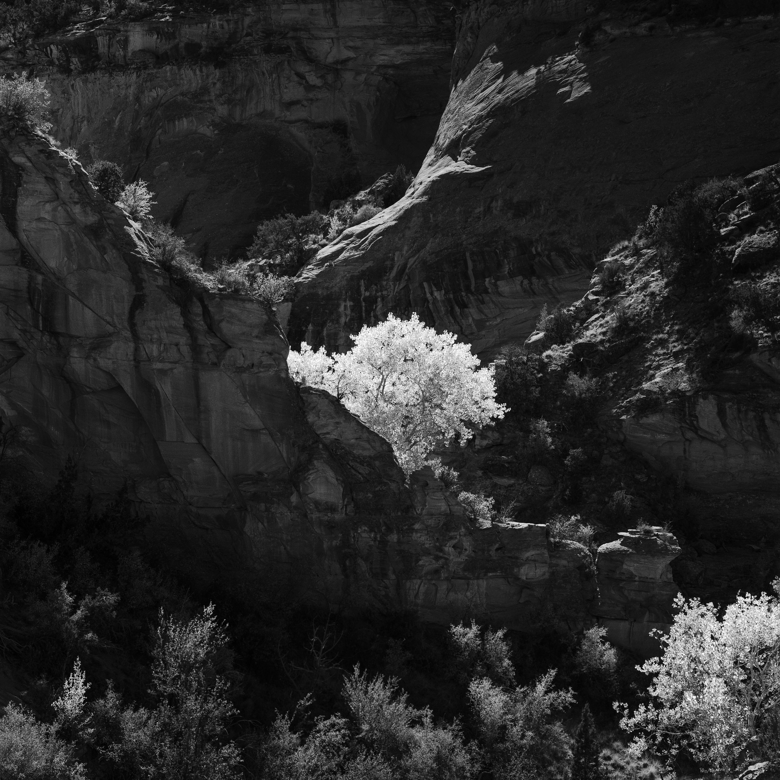 Colorado Wild-16.jpg