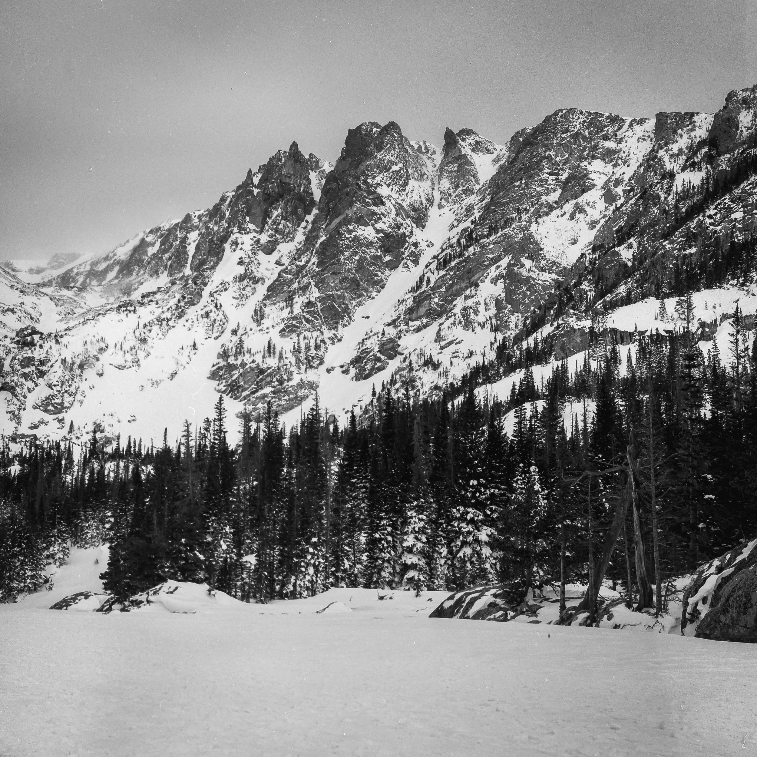 Colorado Wild-15.jpg