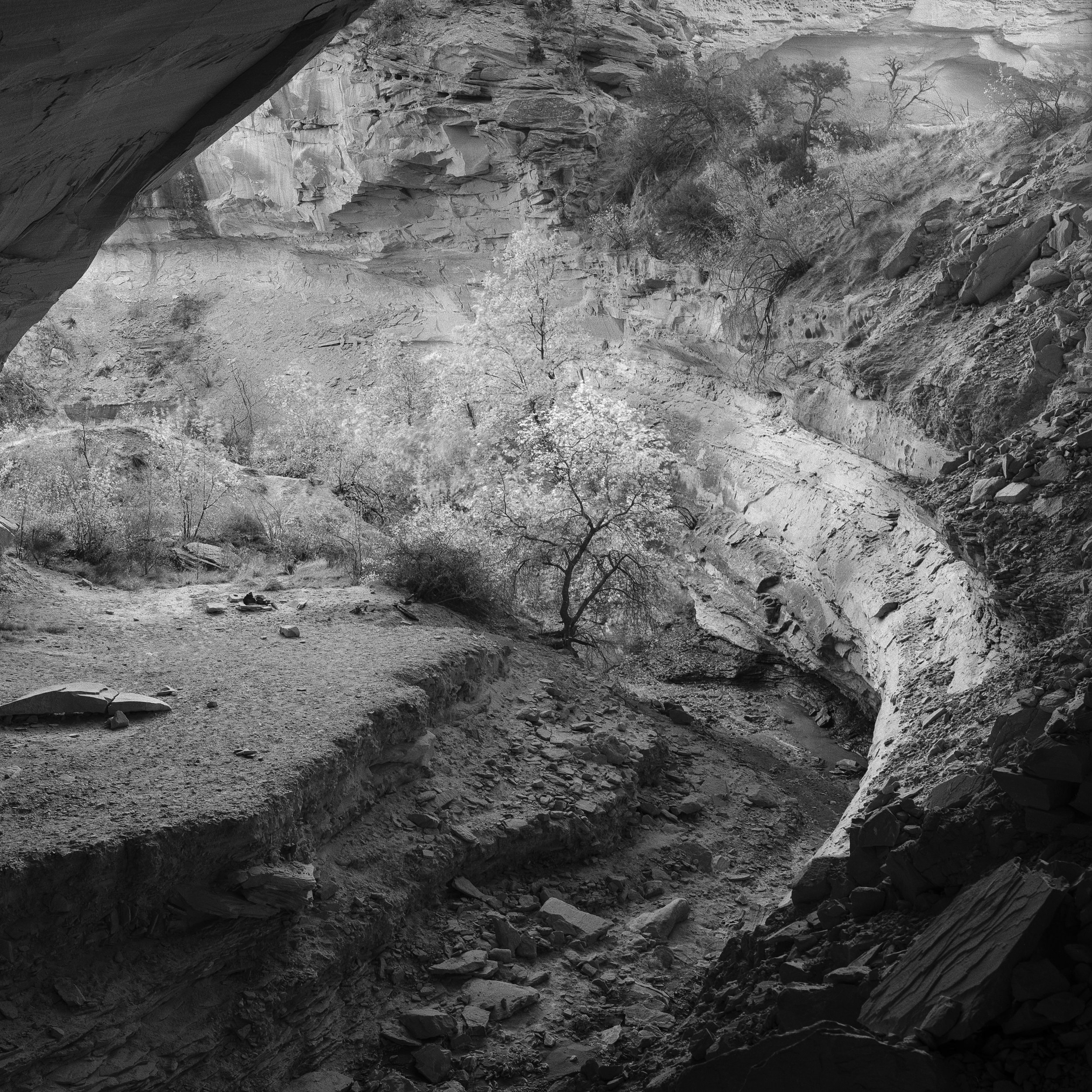 Colorado Wild-18.jpg