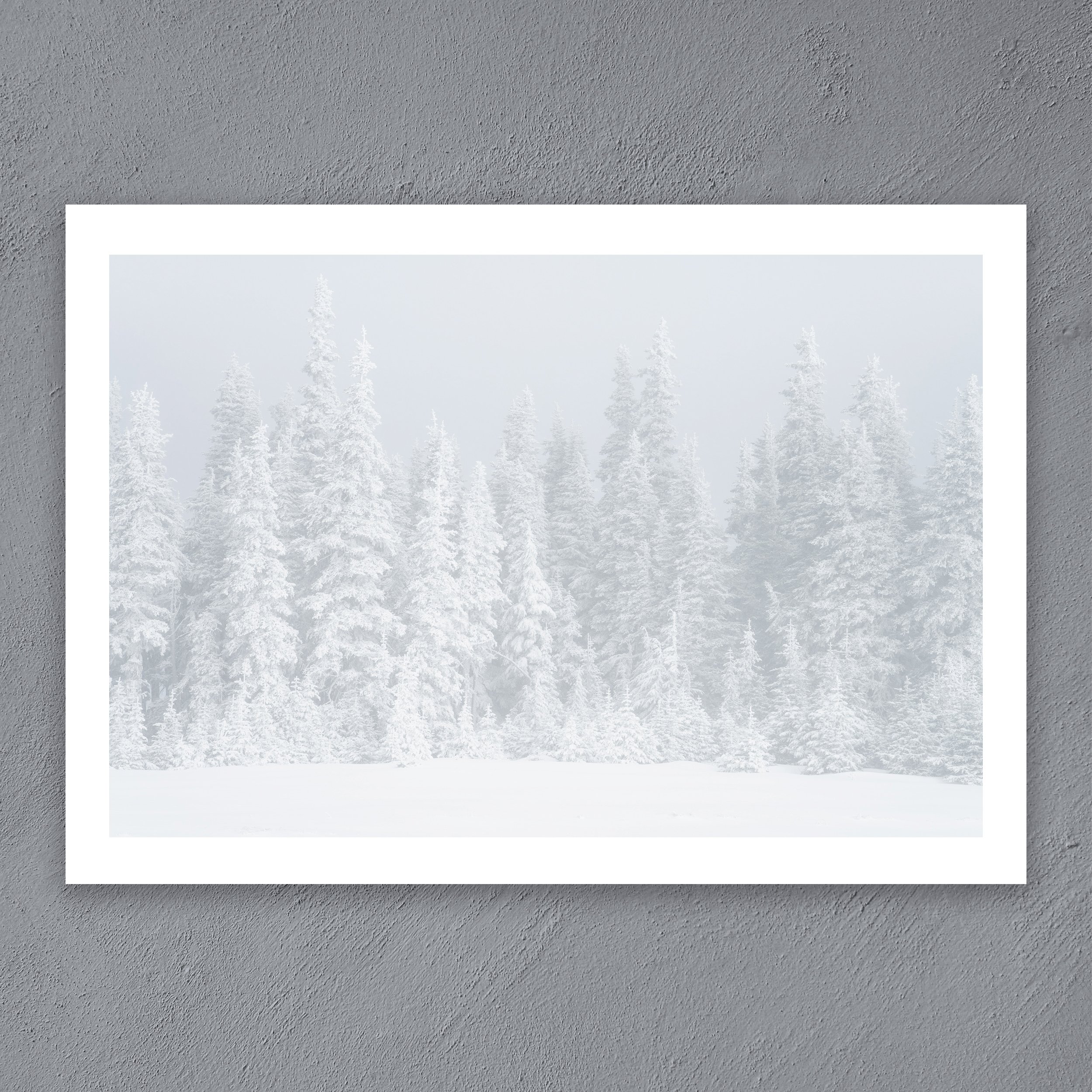 Frosted-Forest.jpg