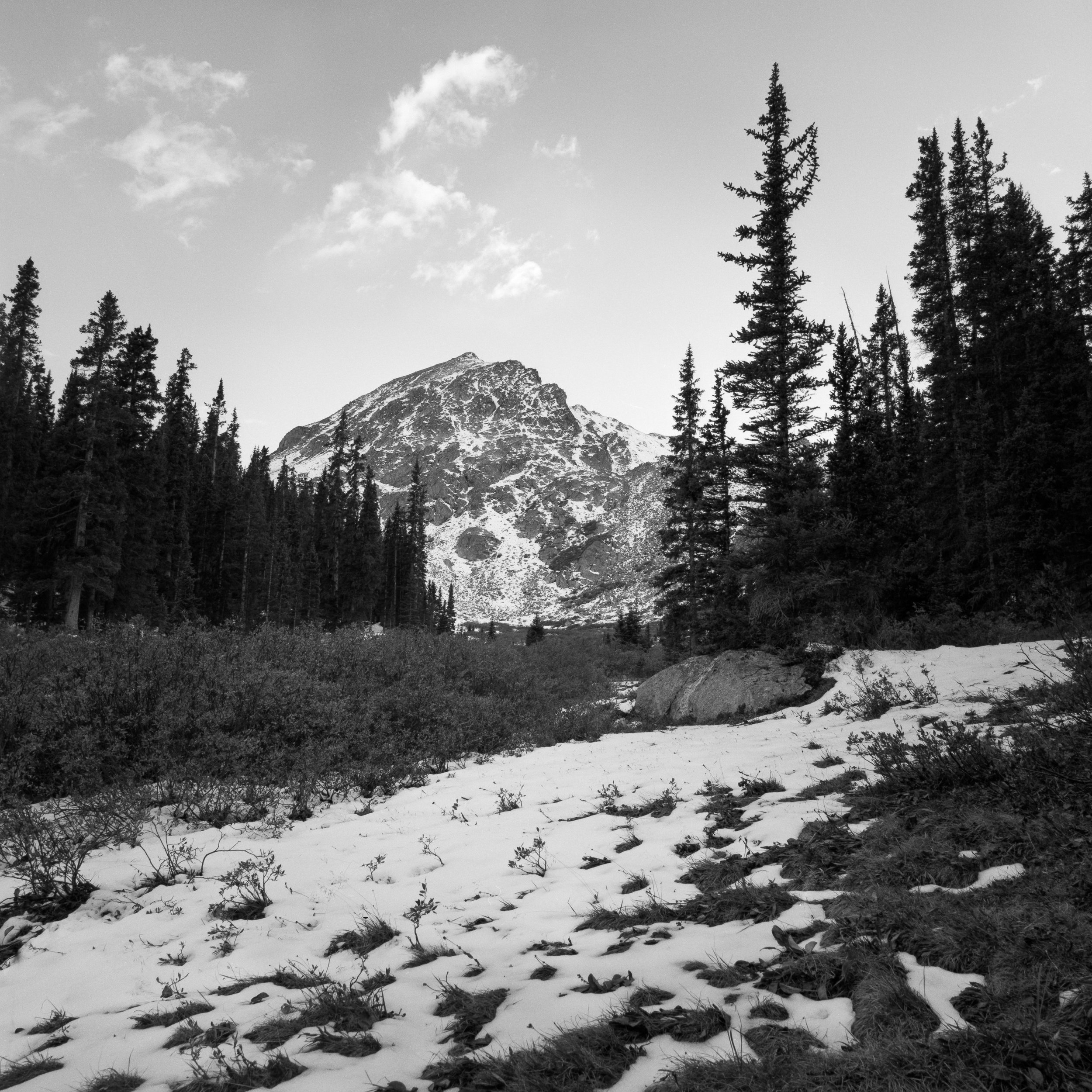 Colorado Wild-12.jpg