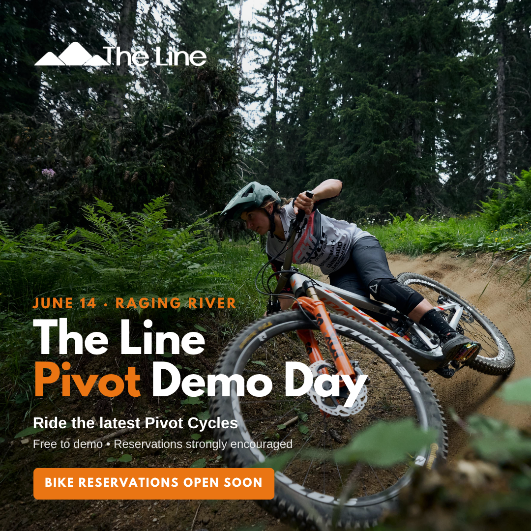 The Line Pivot Demo Day