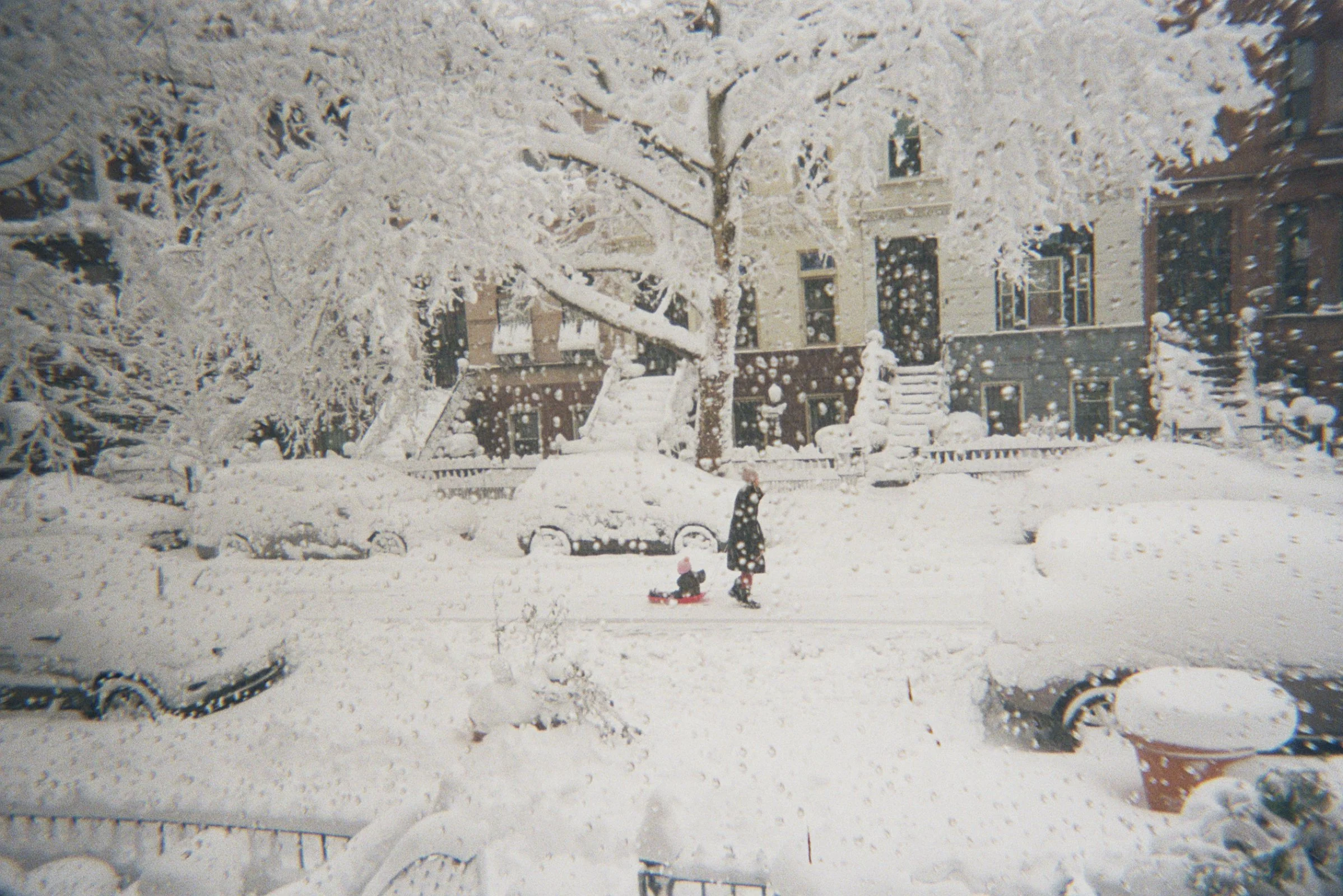 13A_00670.jpg