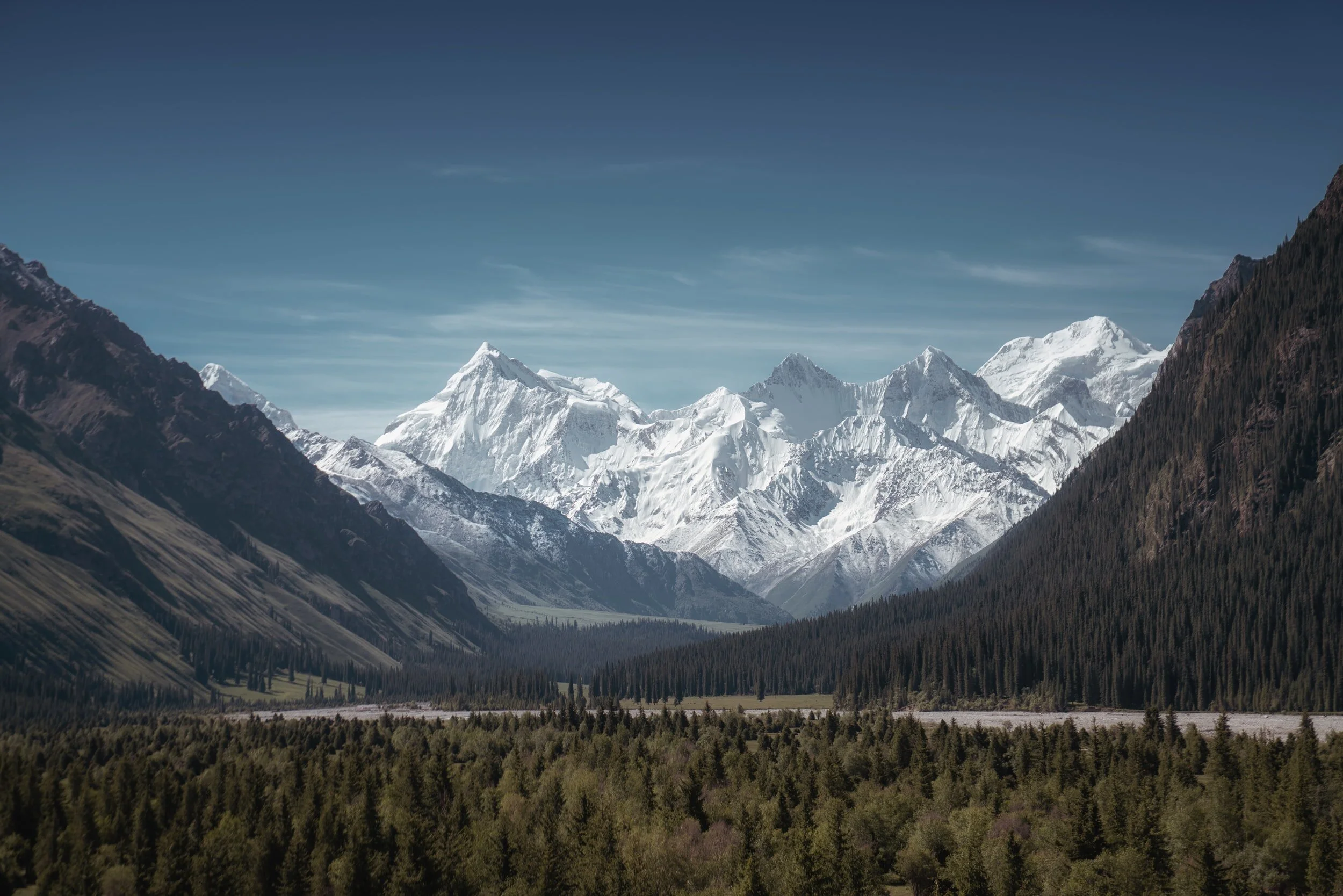 unsplash-image-ikRlU-KH1pk.jpg