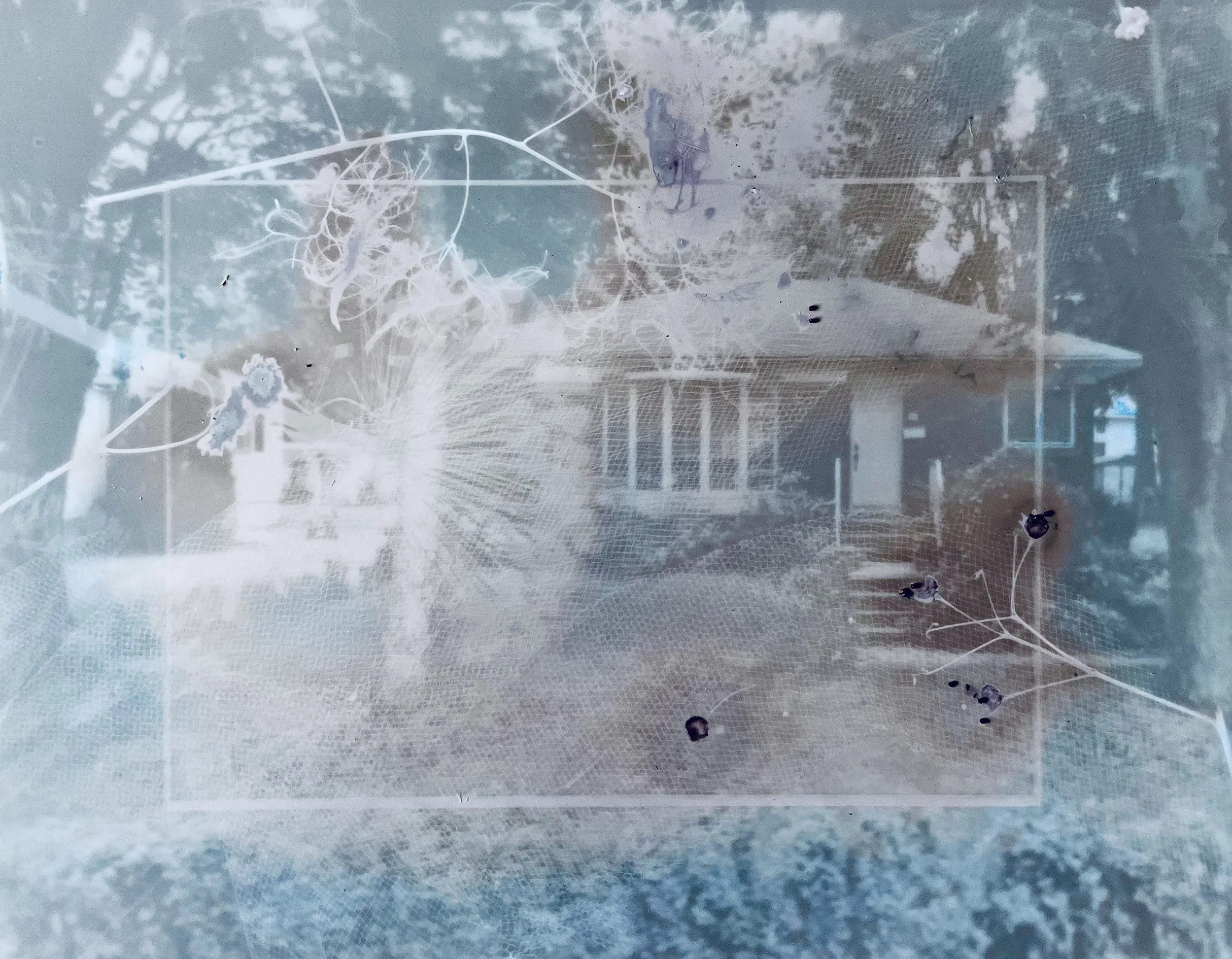 Une maison entourée d'arbres, vue à travers un verre ou un film protecteur, donnant un aspect inversé à l'image.