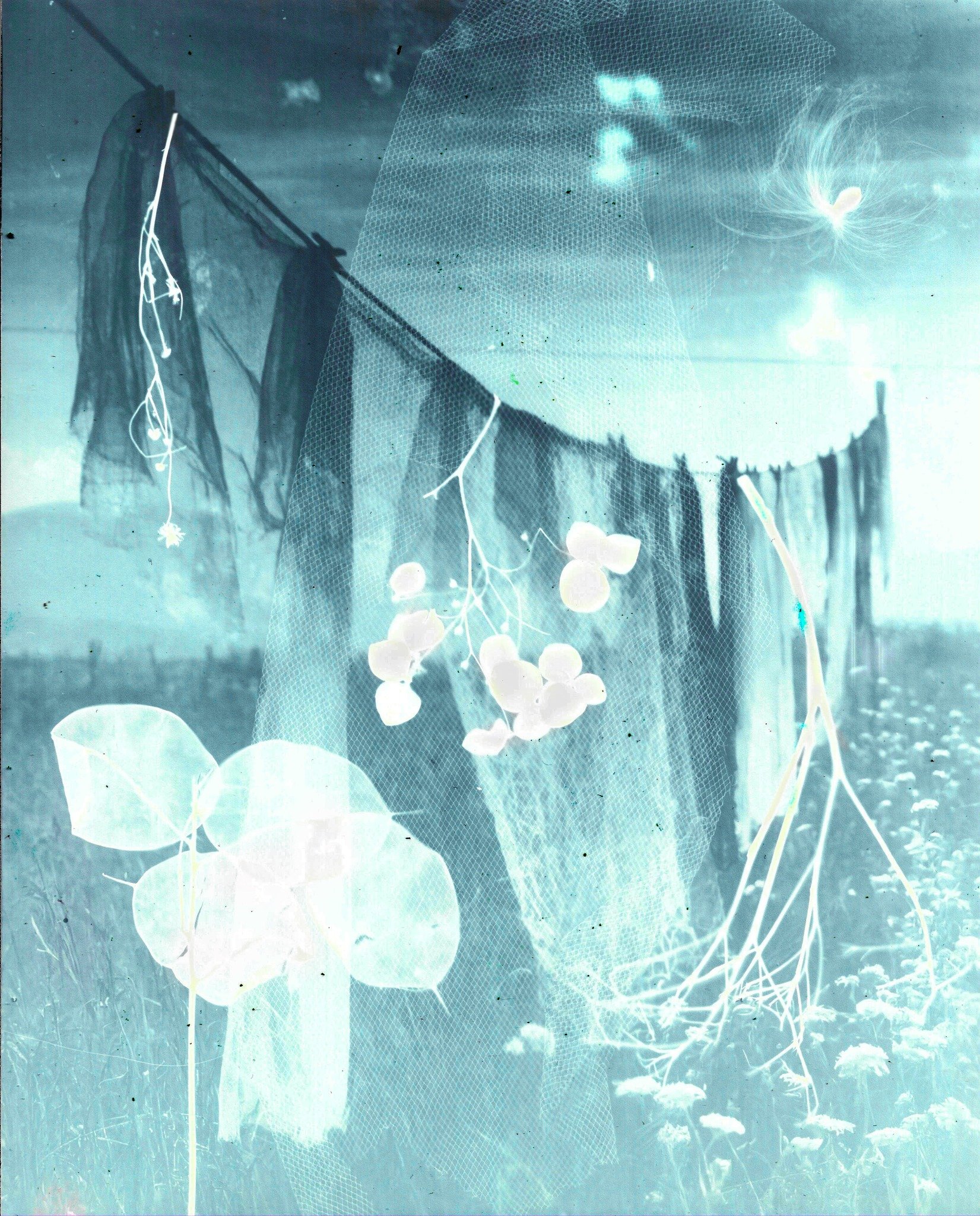 Une photo double exposure combinant un linge suspendu à une corde avec des plantes et un paysage champêtre en arrière-plan.