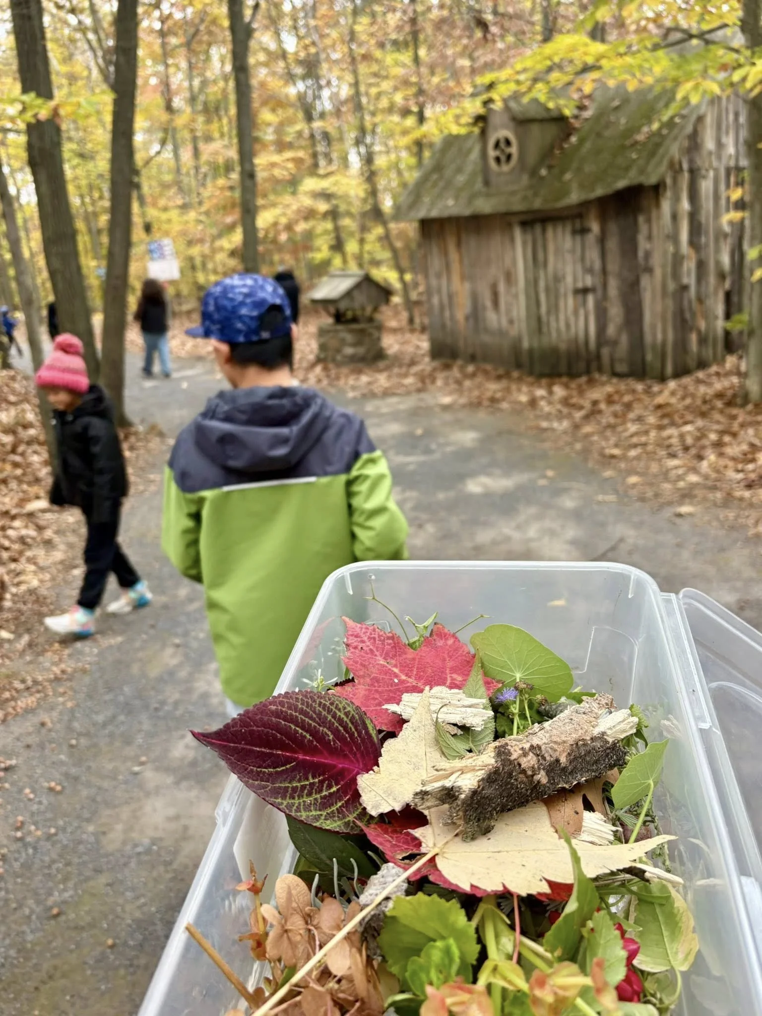 Barquette de feuilles, branches, et éléments naturels, prise en forêt avec des enfants en arrière-plan.
