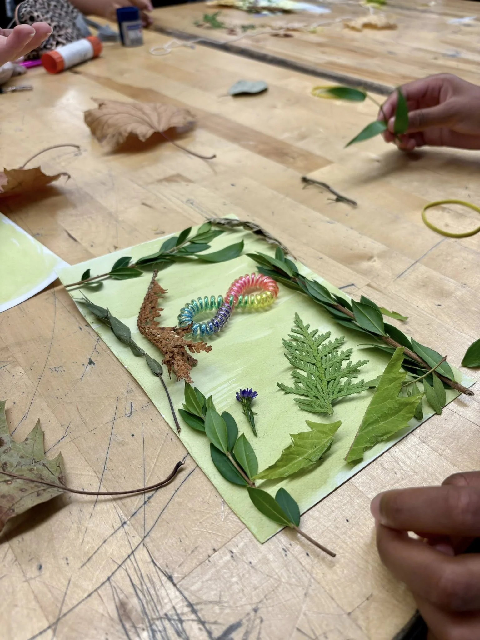Une composition artistique avec diverses feuilles et branches sur une feuille de papier verte, accompagnée de deux bracelets colorés, sur une table en bois.
