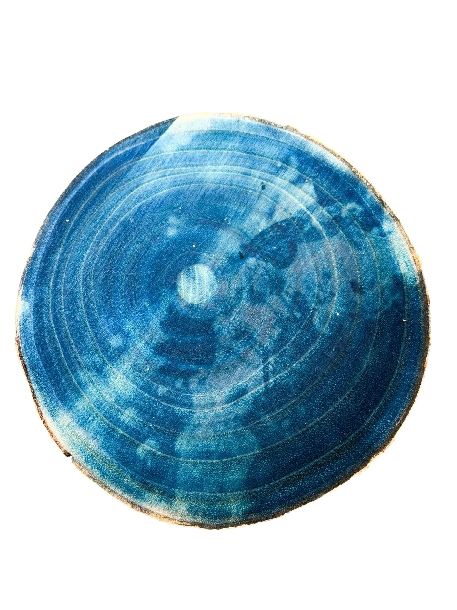 Une tranche de bois bleue avec des anneaux de croissance visibles.