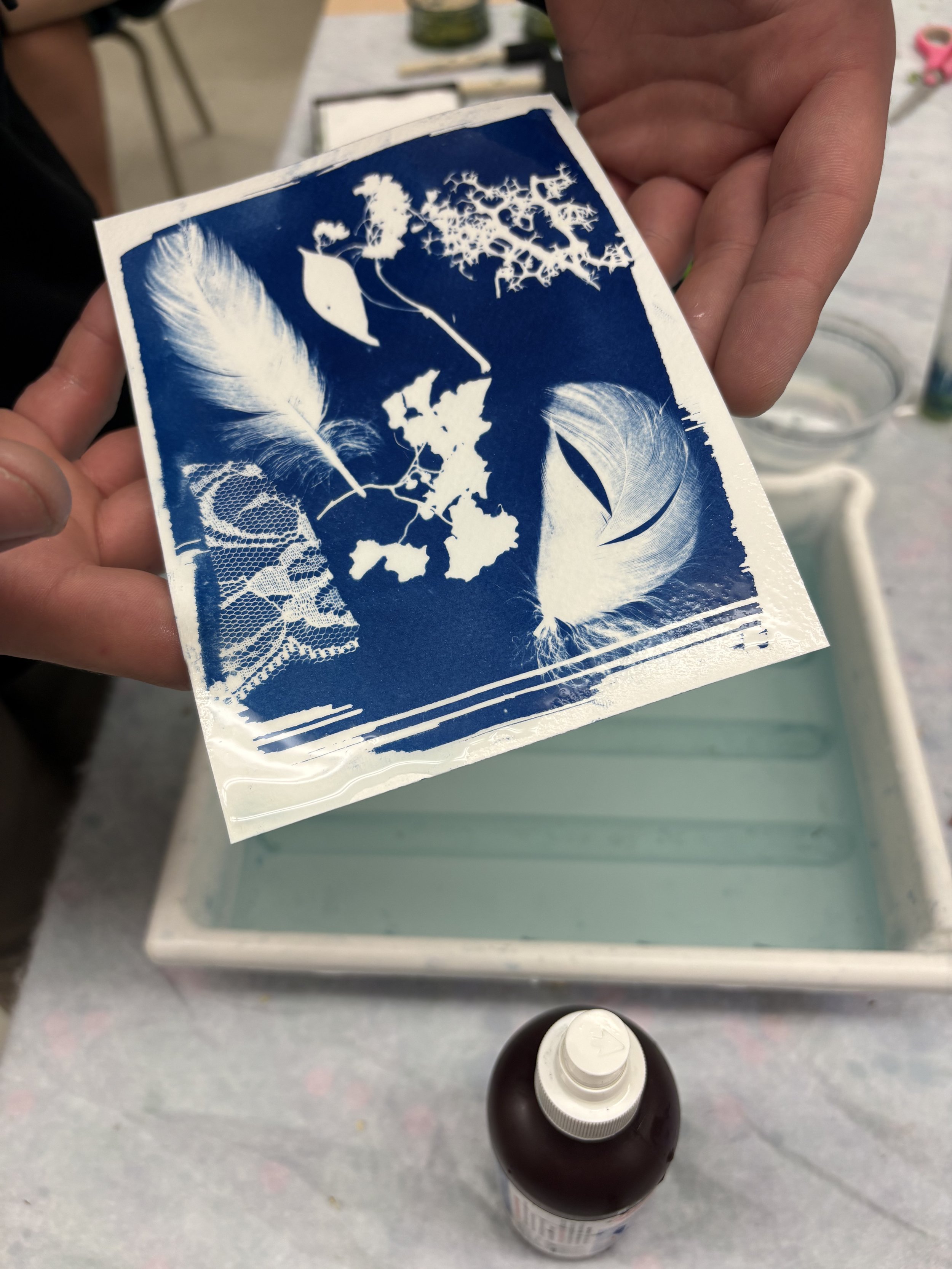 IMG_7903.jpeg