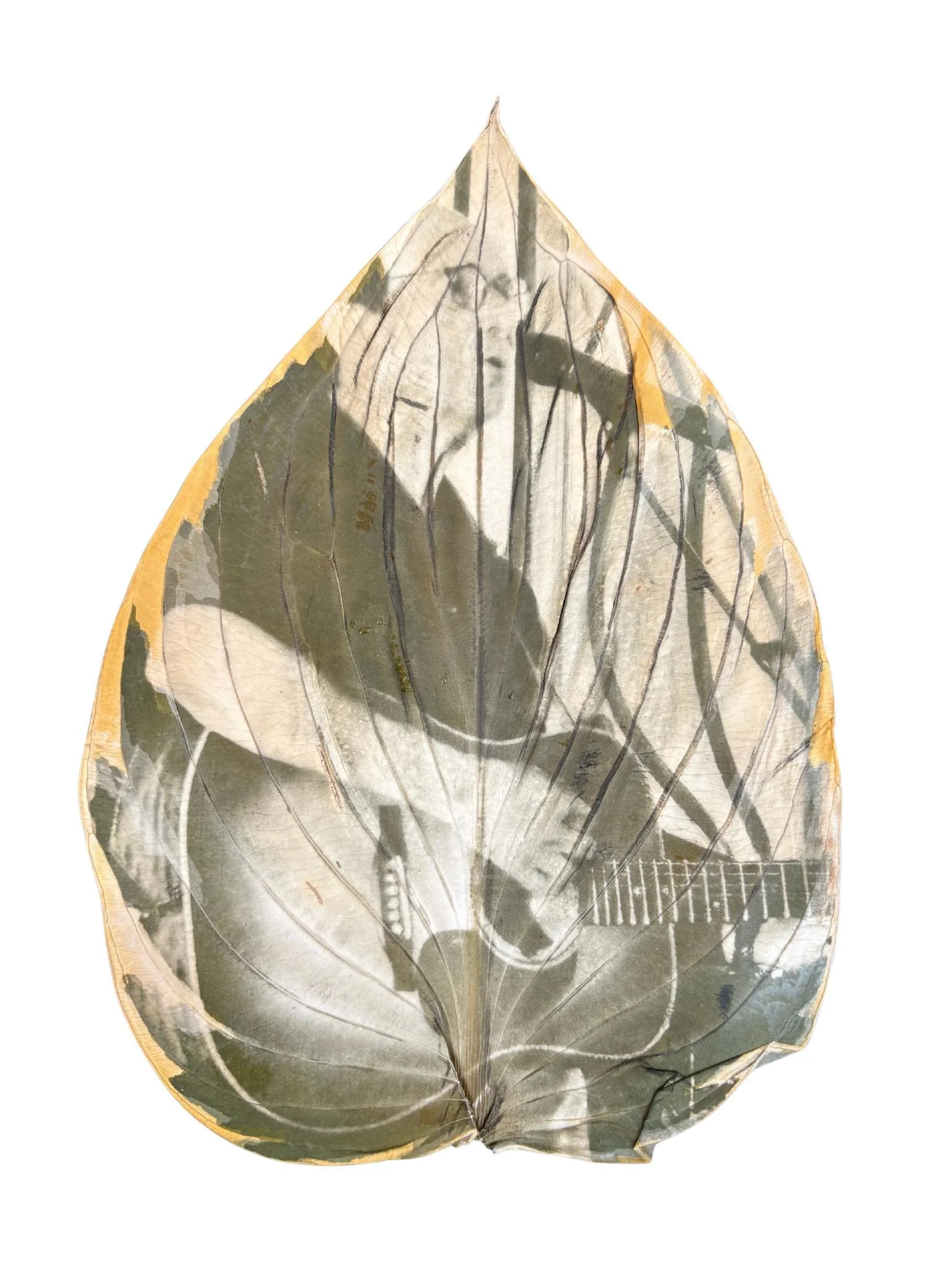 Feuille avec une image imprimée de quelqu'un jouant de la guitare.