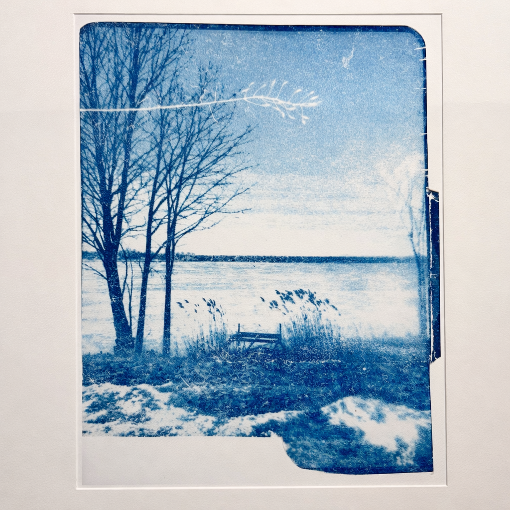 Éphémère — tirage pigmentaire unique / unique pigment print