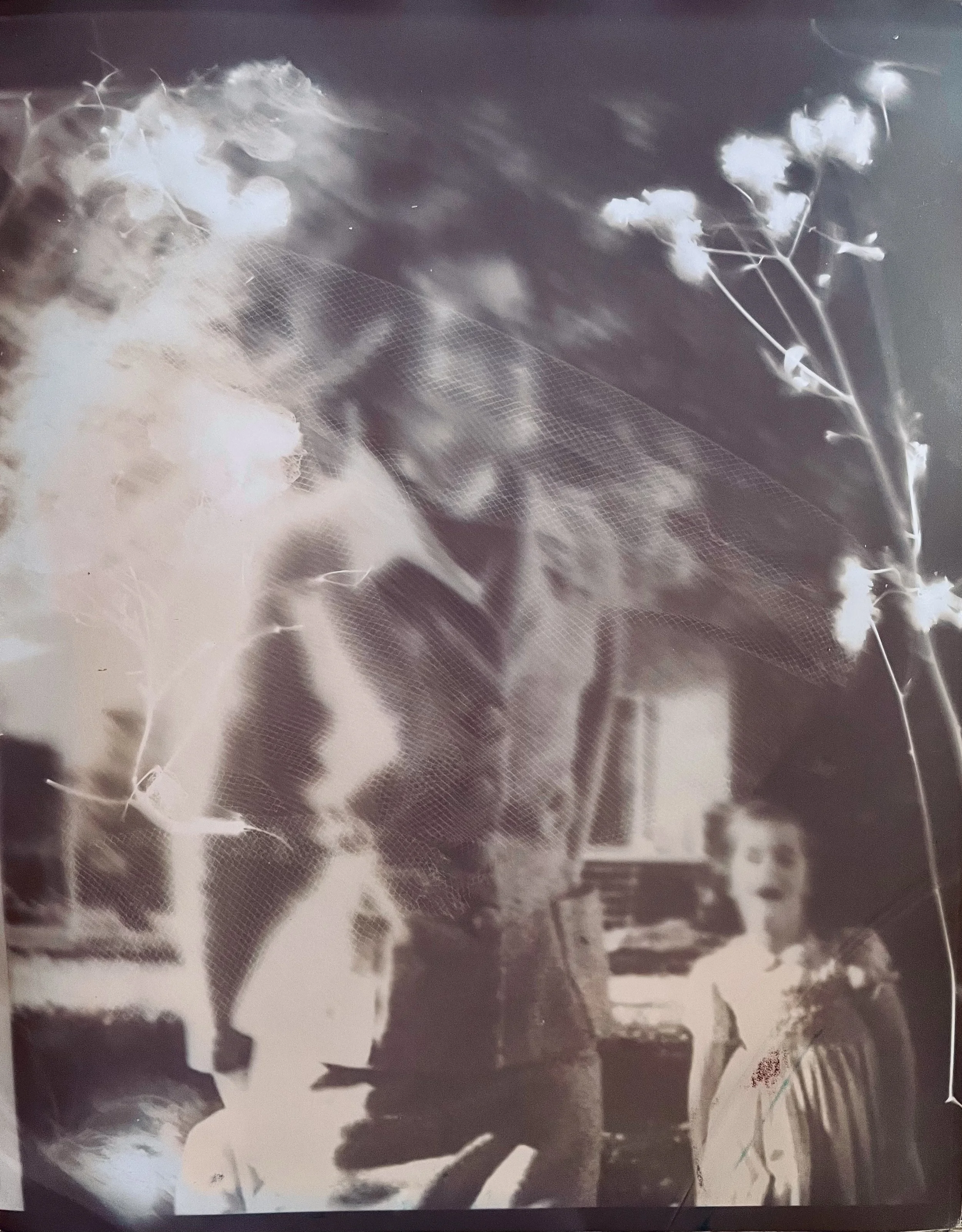 Photographie en noir et blanc d'une femme et d'une fille dans un intérieur avec des fleurs séchées et un filet dorsal.