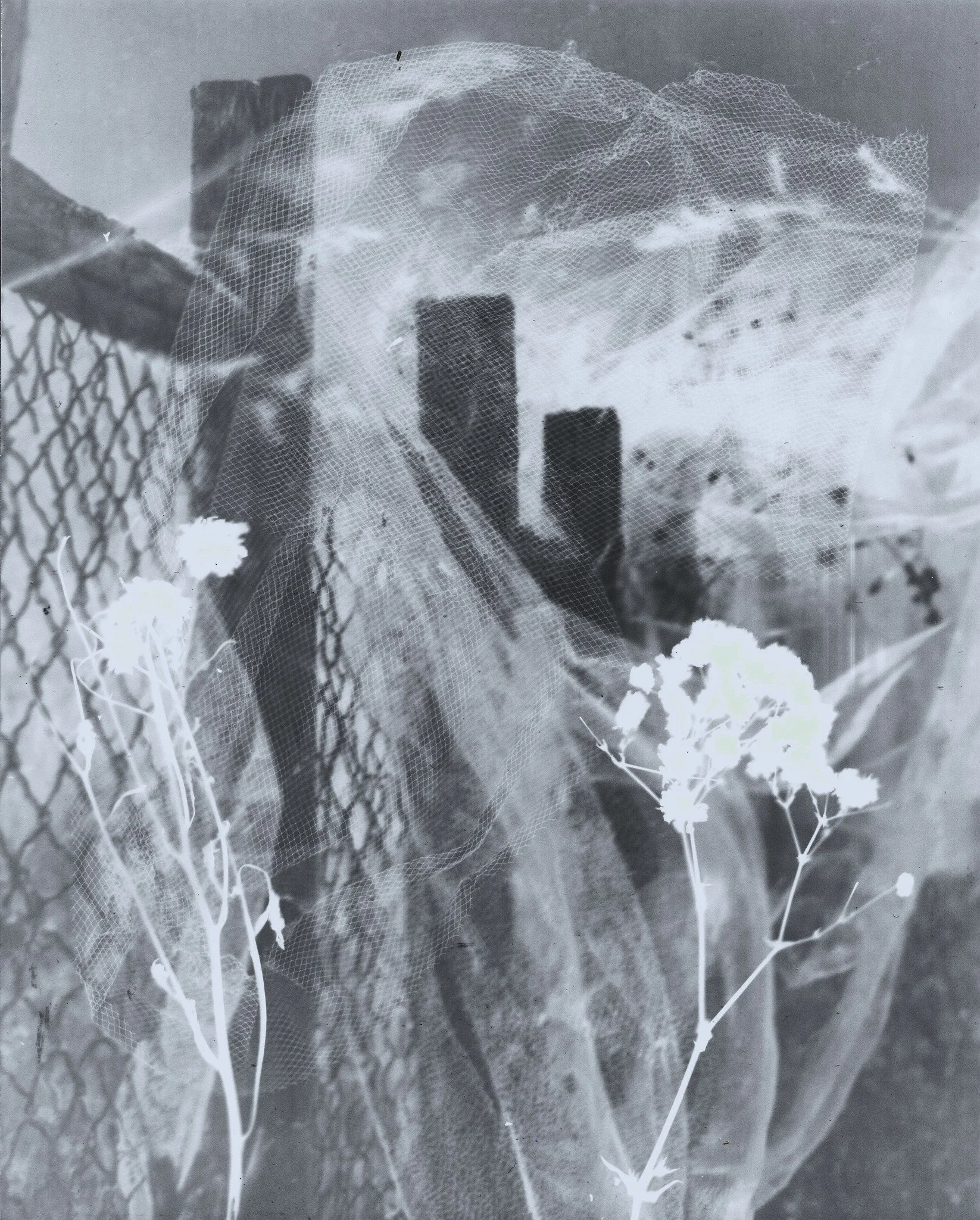 Une image en noir et blanc d'une scène urbaine avec un grillage, des fleurs blanches, un mur en brique et un filet de protection en haut.