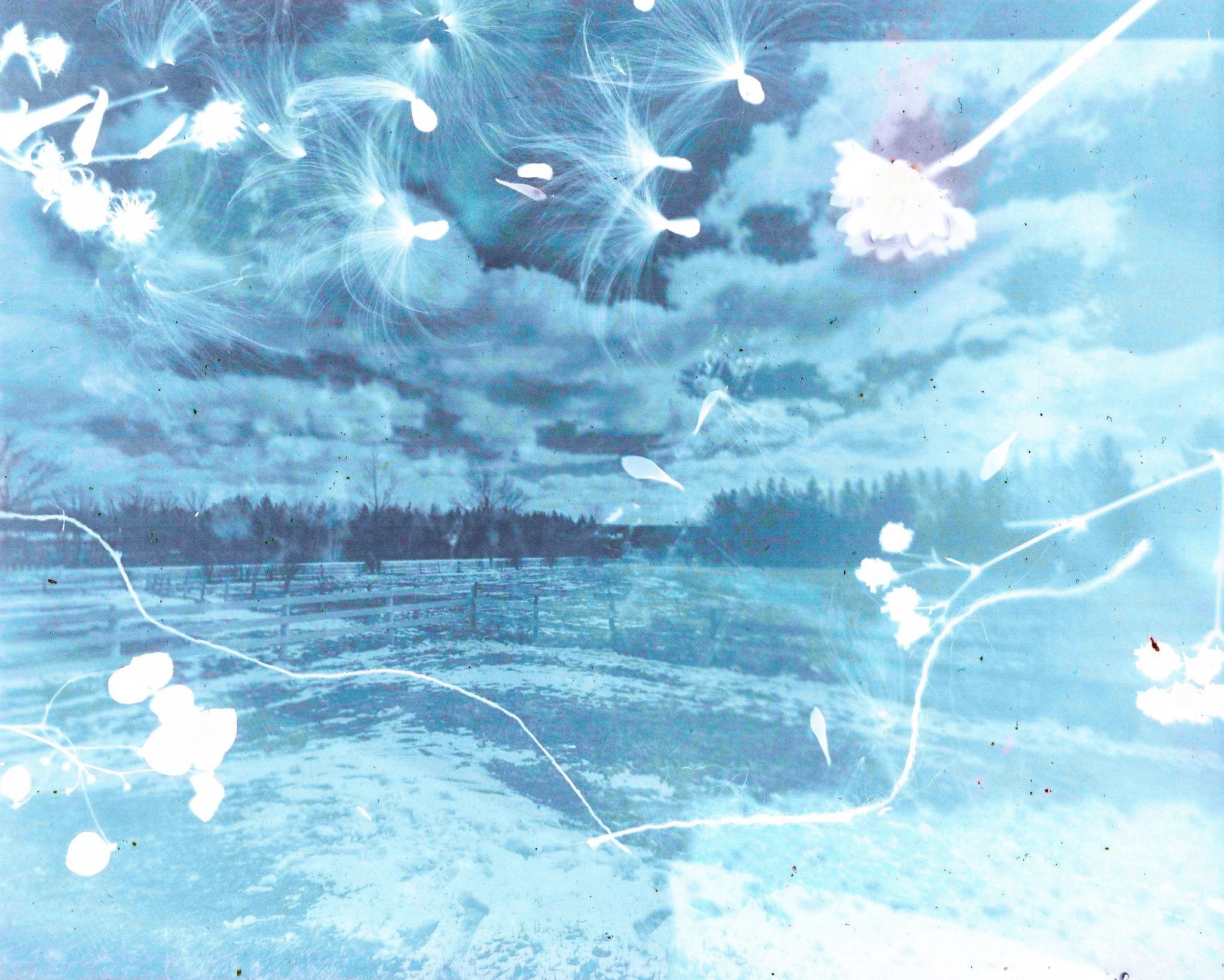 Une image artistique avec un paysage enneigé, des nuages dans le ciel, et des éléments abstraits lumineux et floraux superposés.