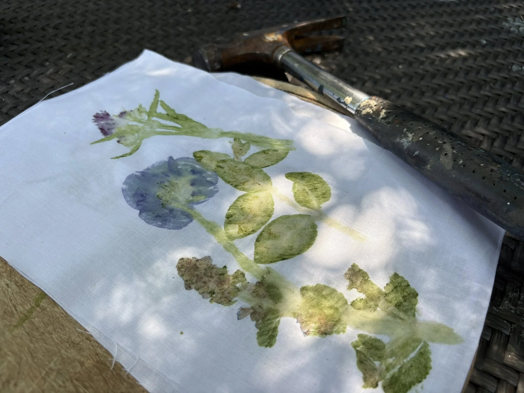 Fleurs et feuilles pressées sur un tissu blanc, avec un marteau à proximité.