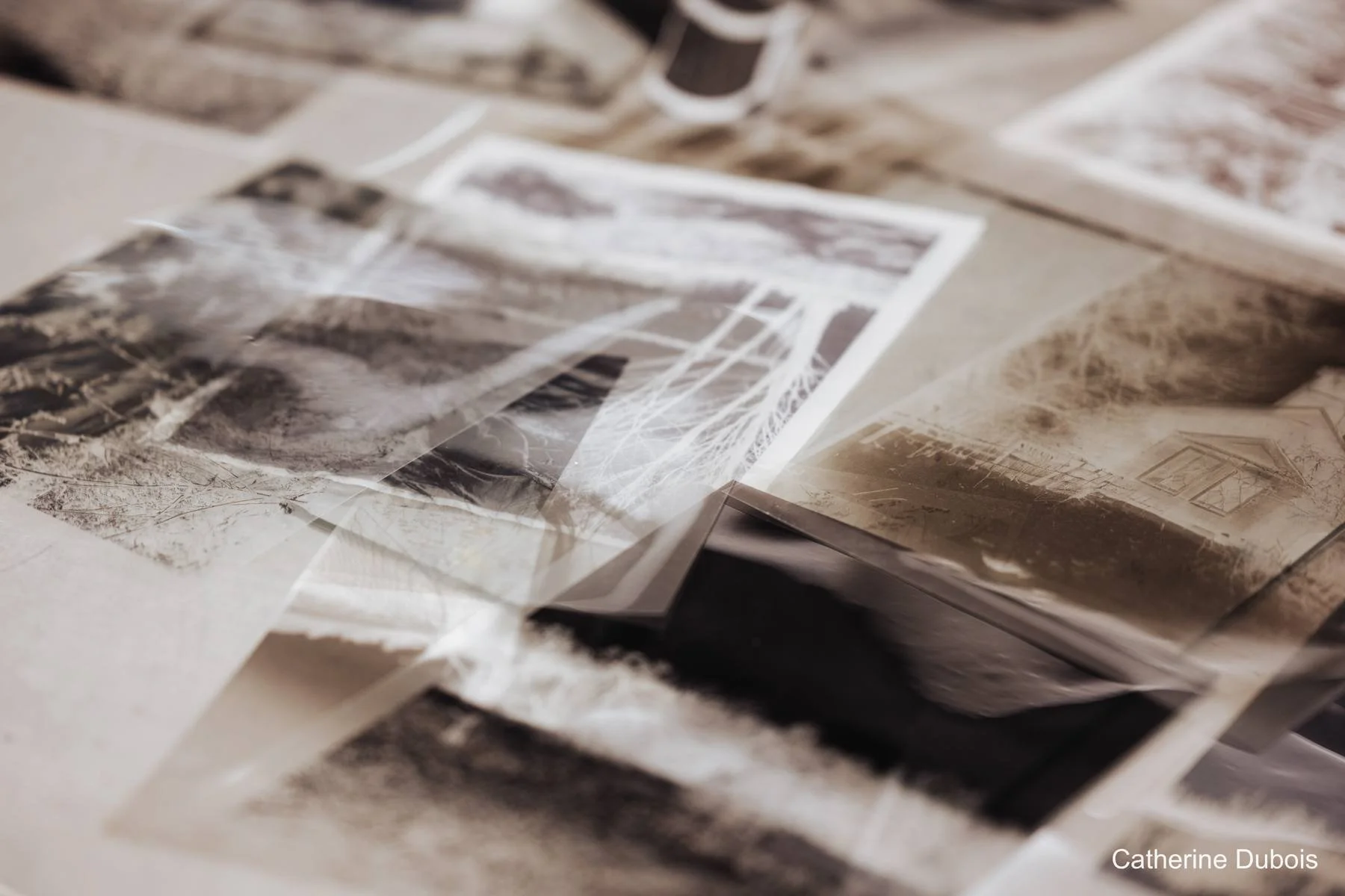 Des photographies en noir et blanc éparpillées sur une surface.