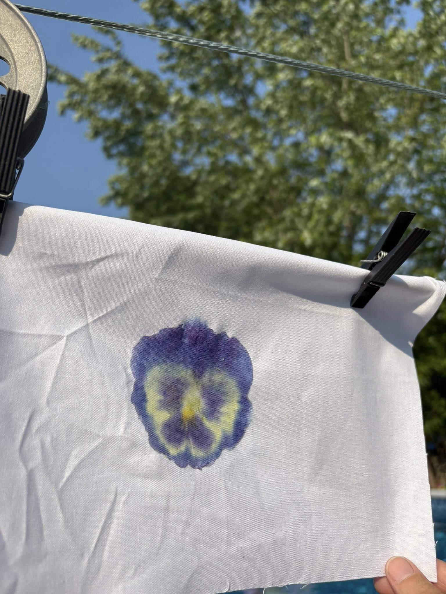 Une feuille blanche avec une fleur violette et jaune peinte, accrochée à une corde par deux clips noirs, en plein air avec un arbre et un ciel bleu en arrière-plan.