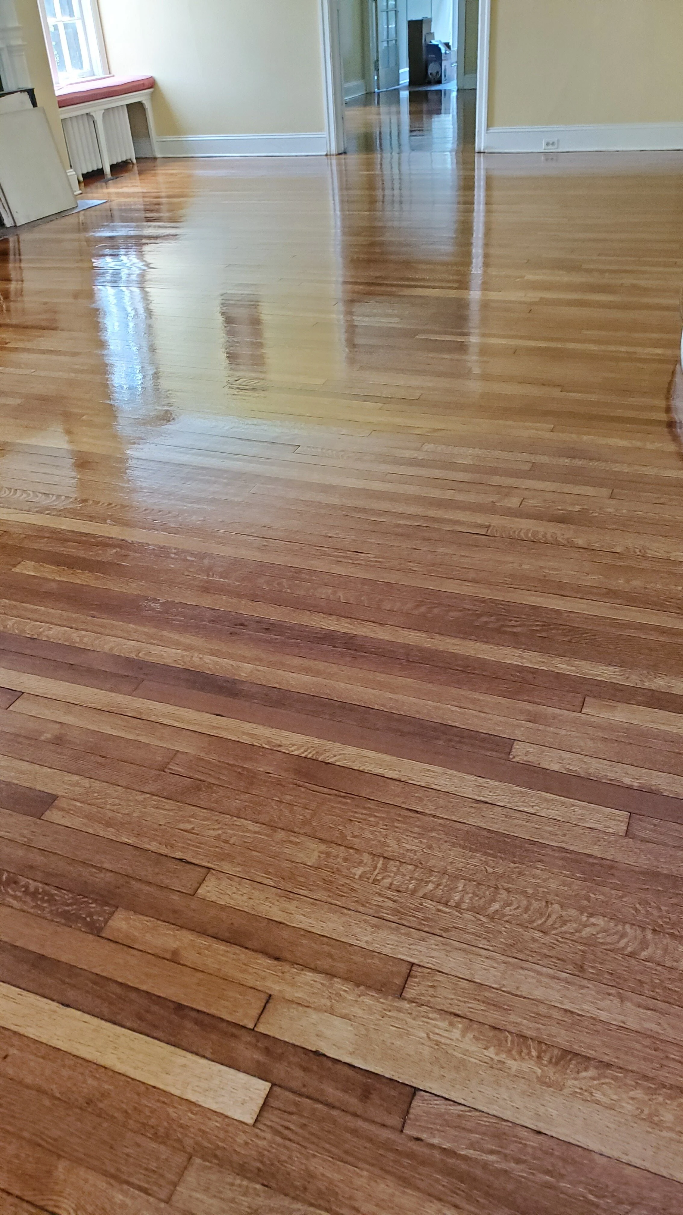 20210903_115102.jpg