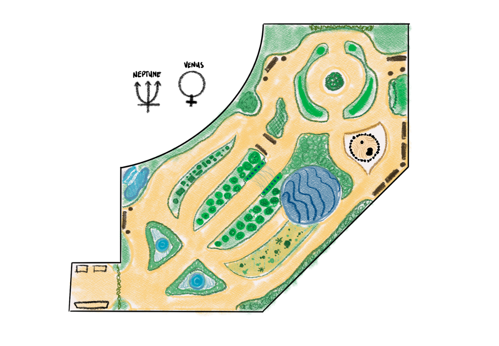 Garden Layout 1.png