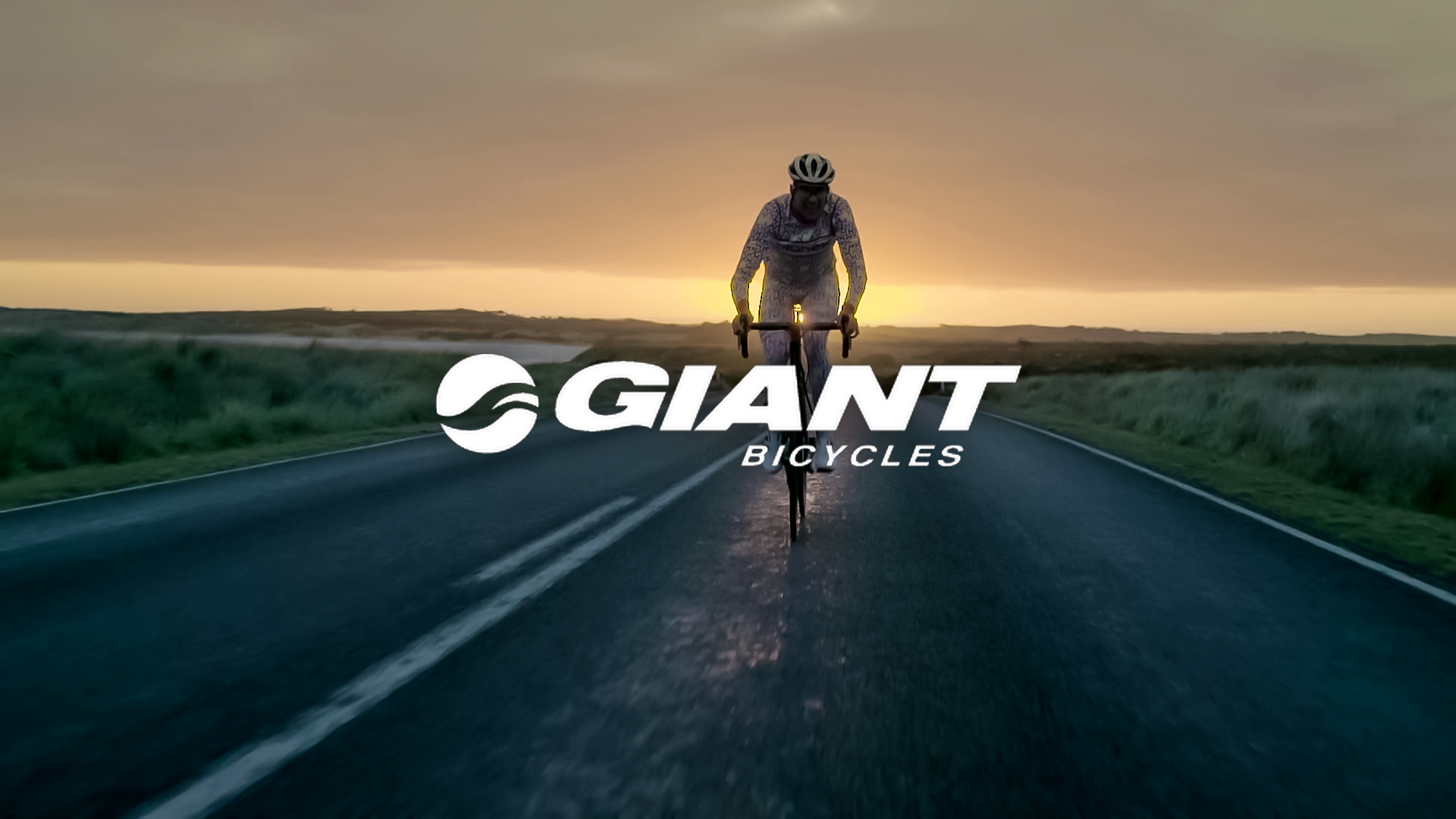 Giant Bikes