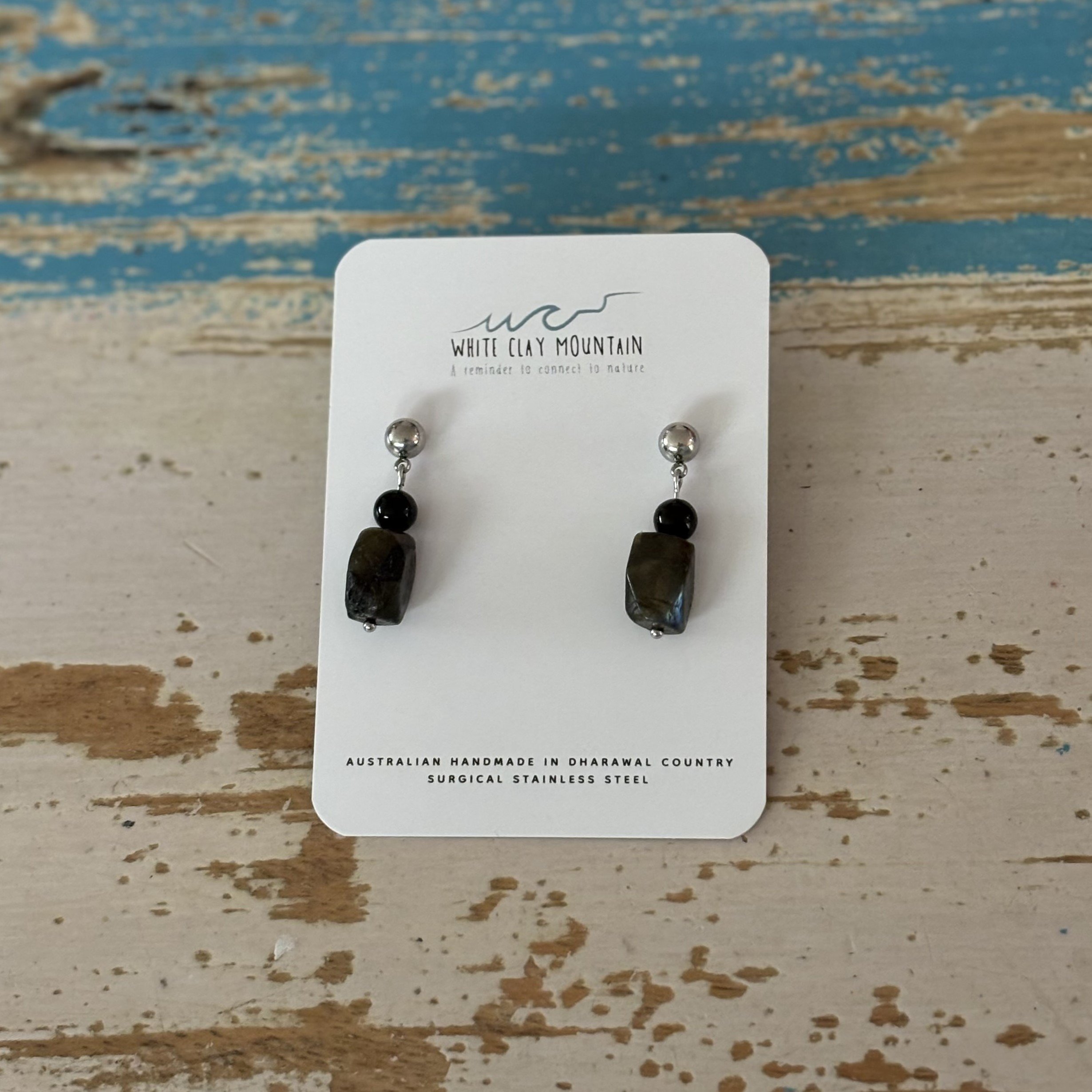 Platypus Earrings.jpeg