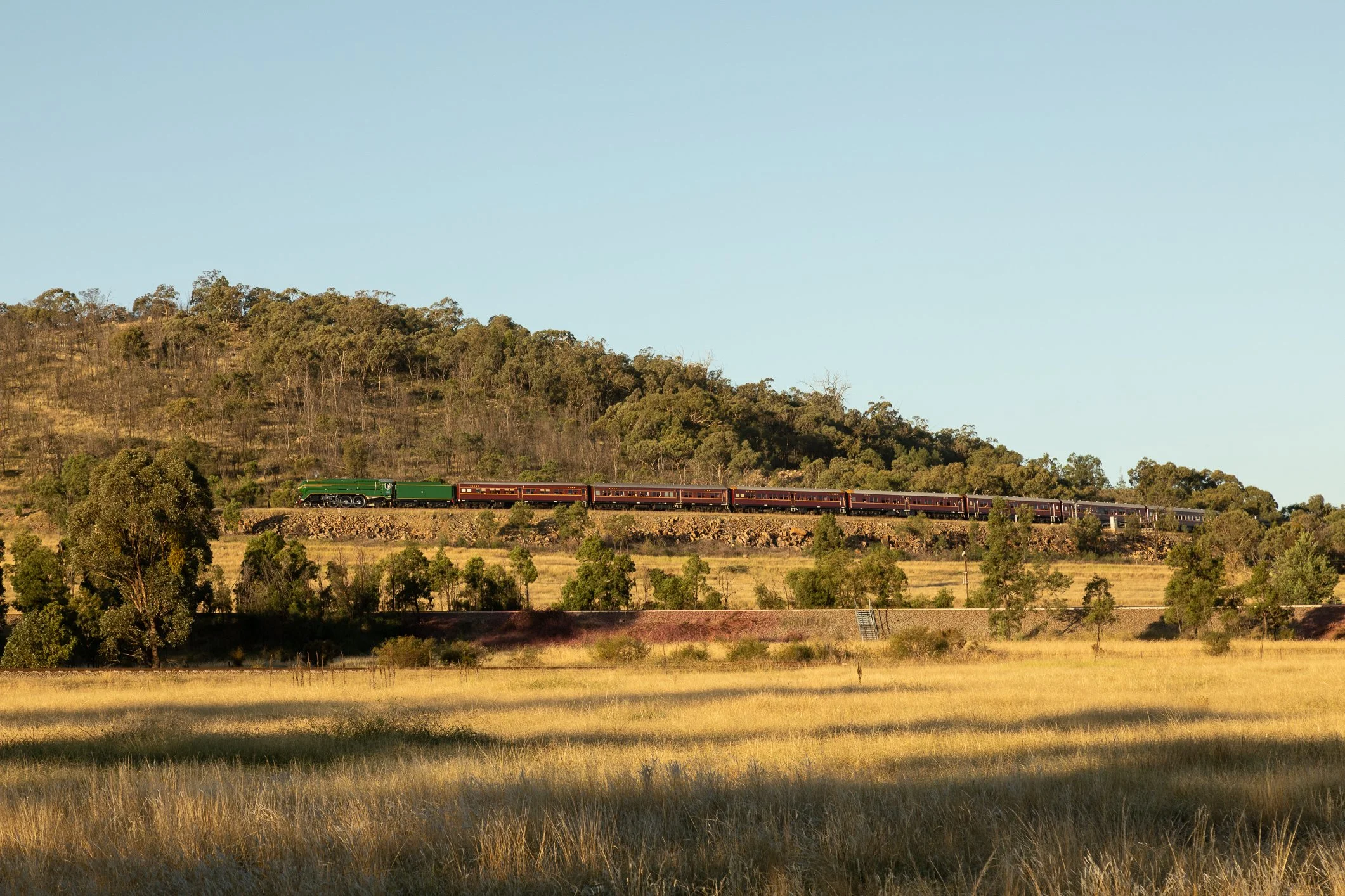 3801 and heritage train climbs the Bethungra spiral in afternoon sunlight . Scott Gould railway photography